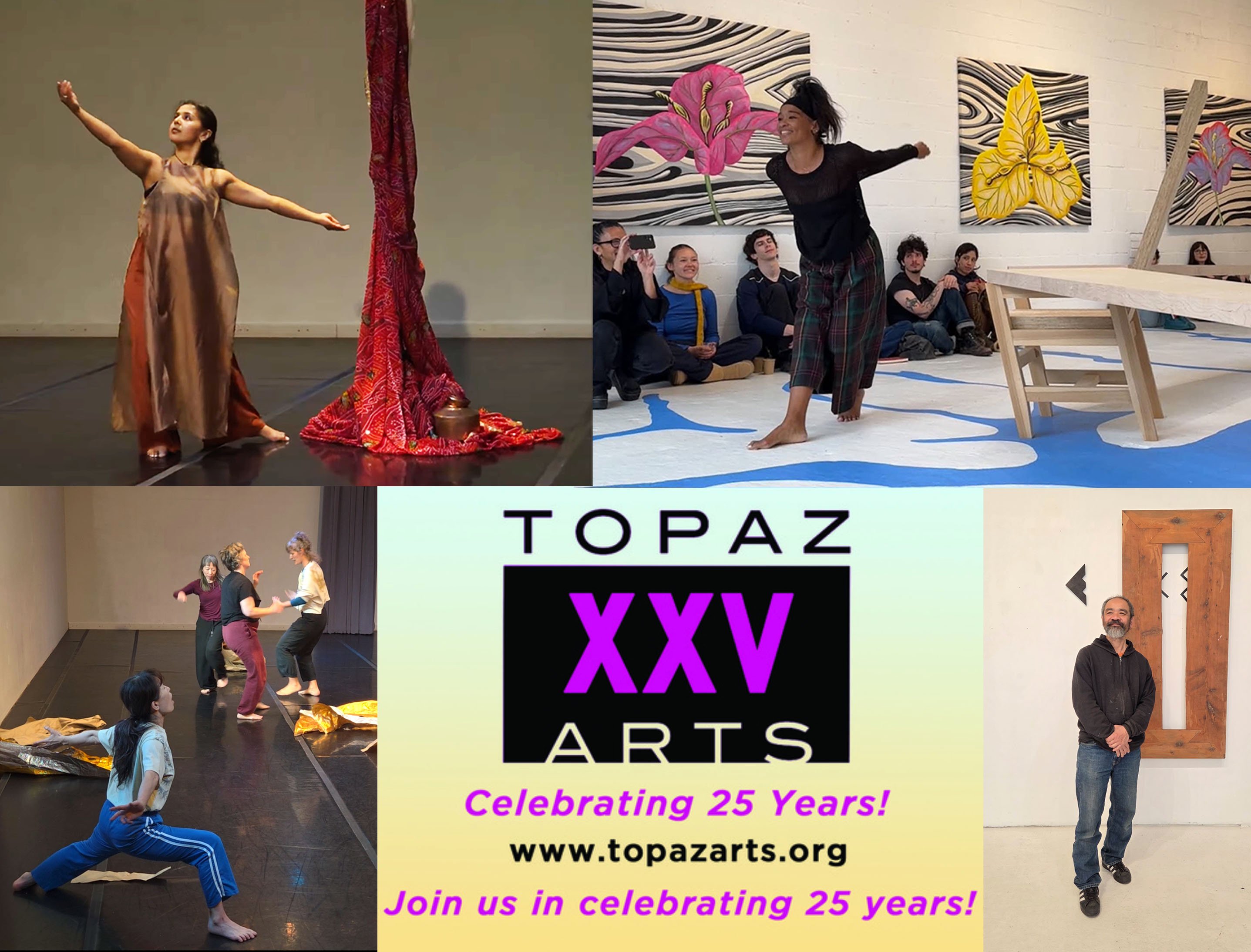 Support TOPAZ ARTS' 25th Year campaign photo, 4 of 6