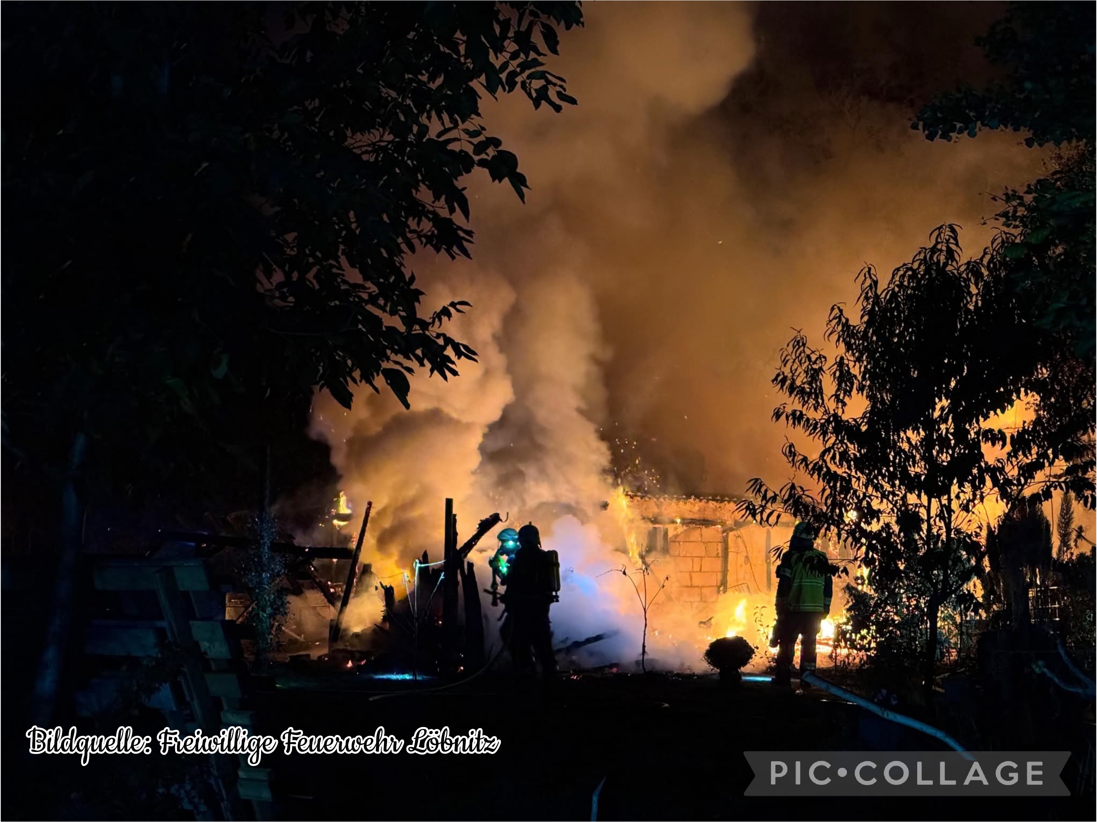 Das Feuer nahm ihnen alles, auch ihren geliebten Vierbeiner campaign photo, 6 of 7