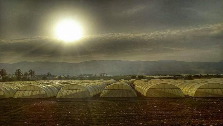 Support Jordanian Farmers: Keep Our Farm Alive photo
