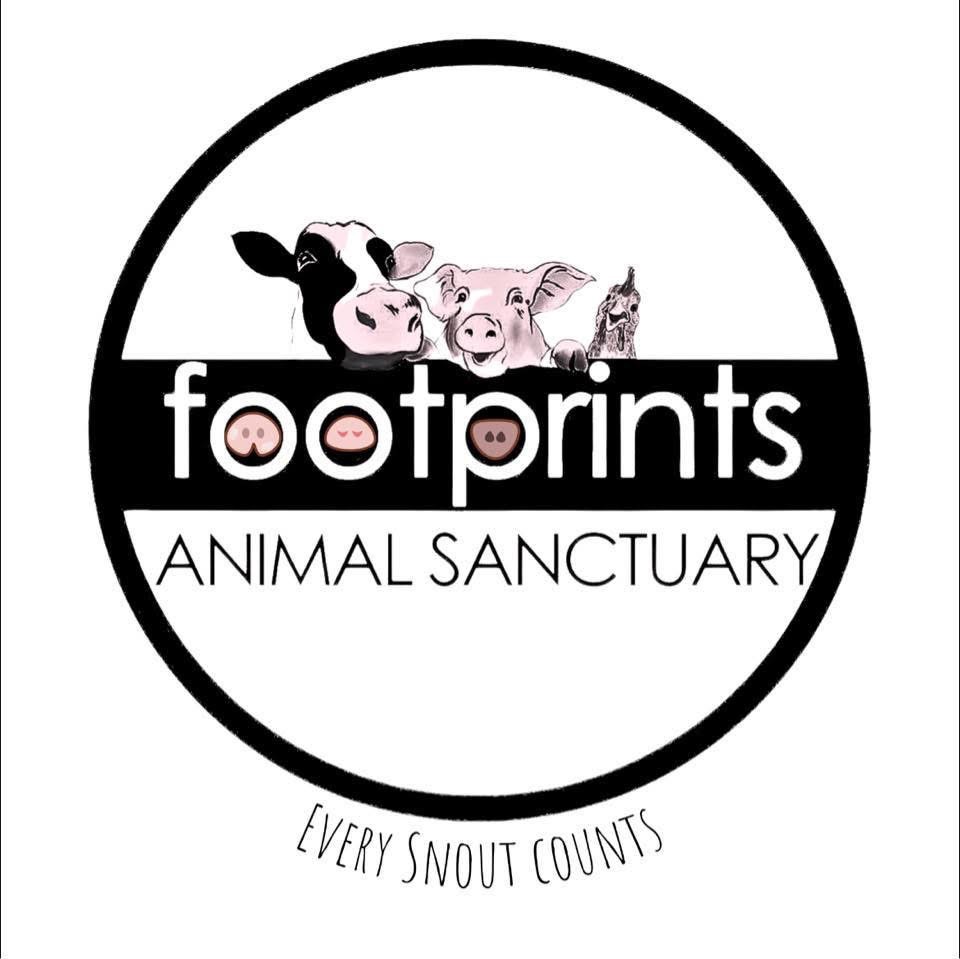 Running to support Footprints Animal Sanctuary campaign photo, 4 of 5