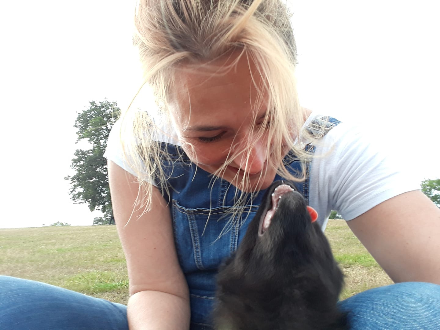 Help Jerry Feel the Joy of the Game Again! campaign photo, 2 of 8