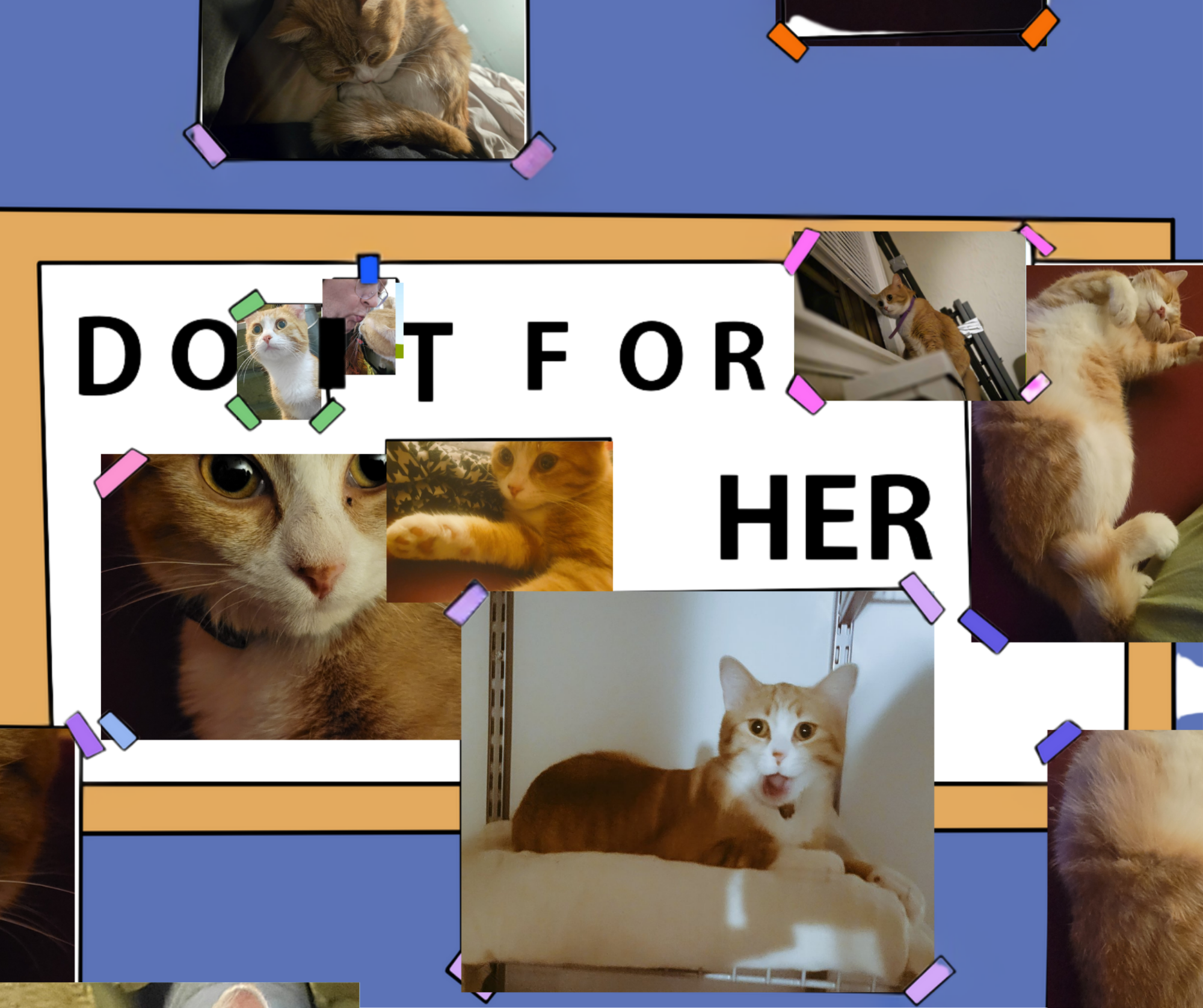 User-uploaded image 1