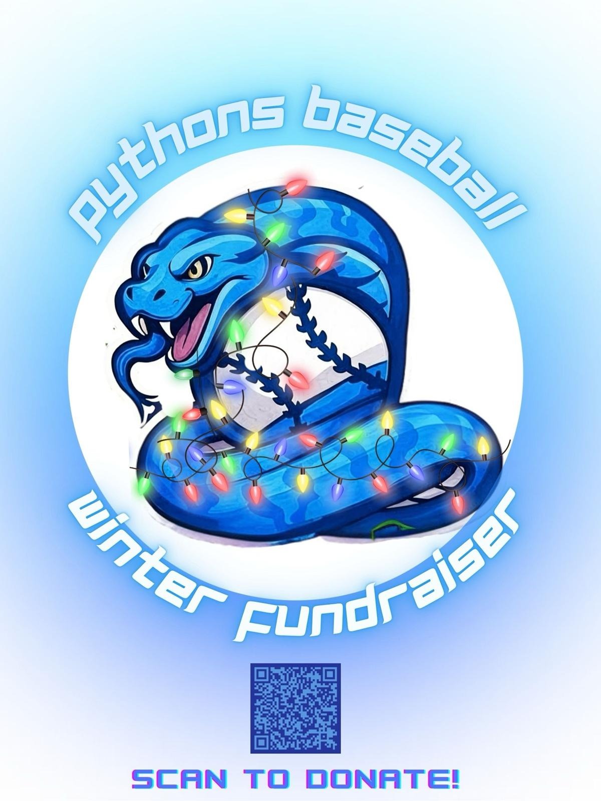 Help the 9U Pythons baseball team keep playing this winter! campaign photo, 2 of 5