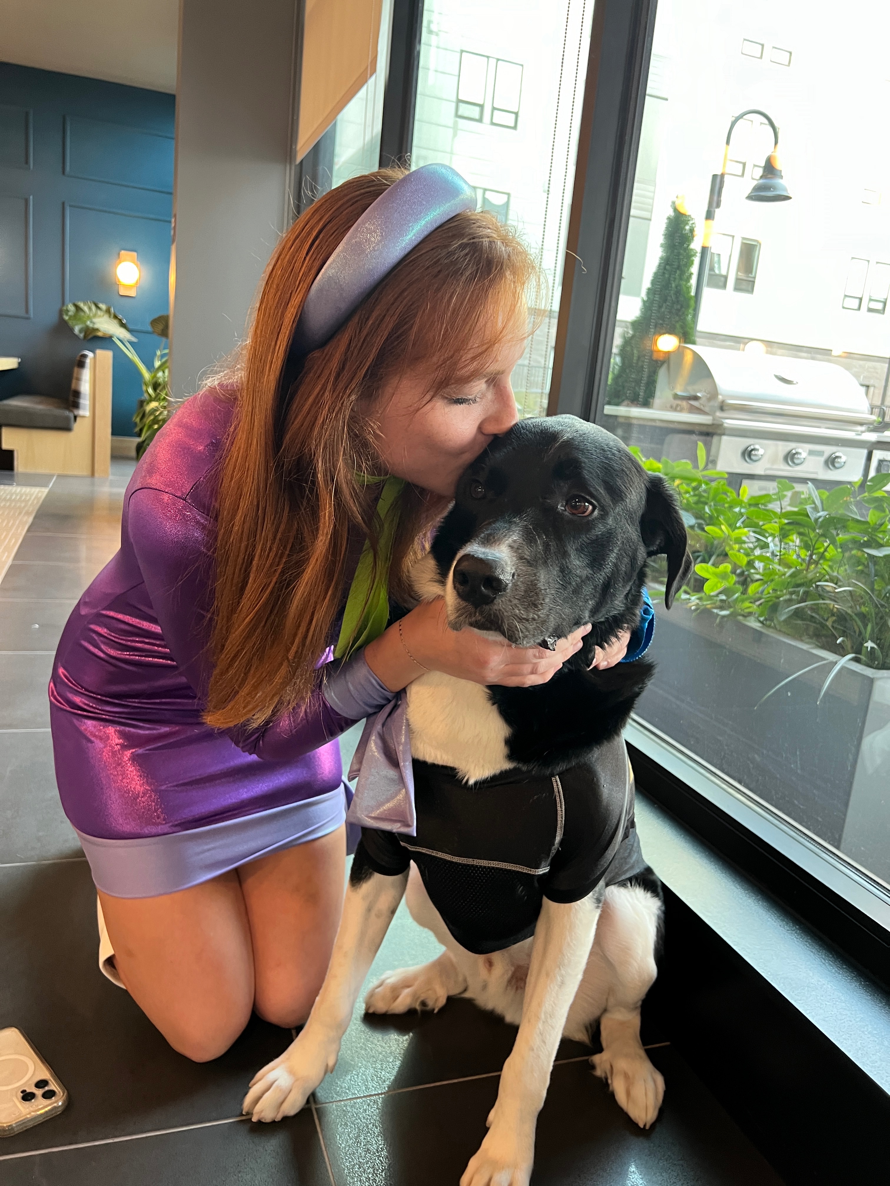 Help Bluey Get the MRI He Needs campaign photo, 4 of 6