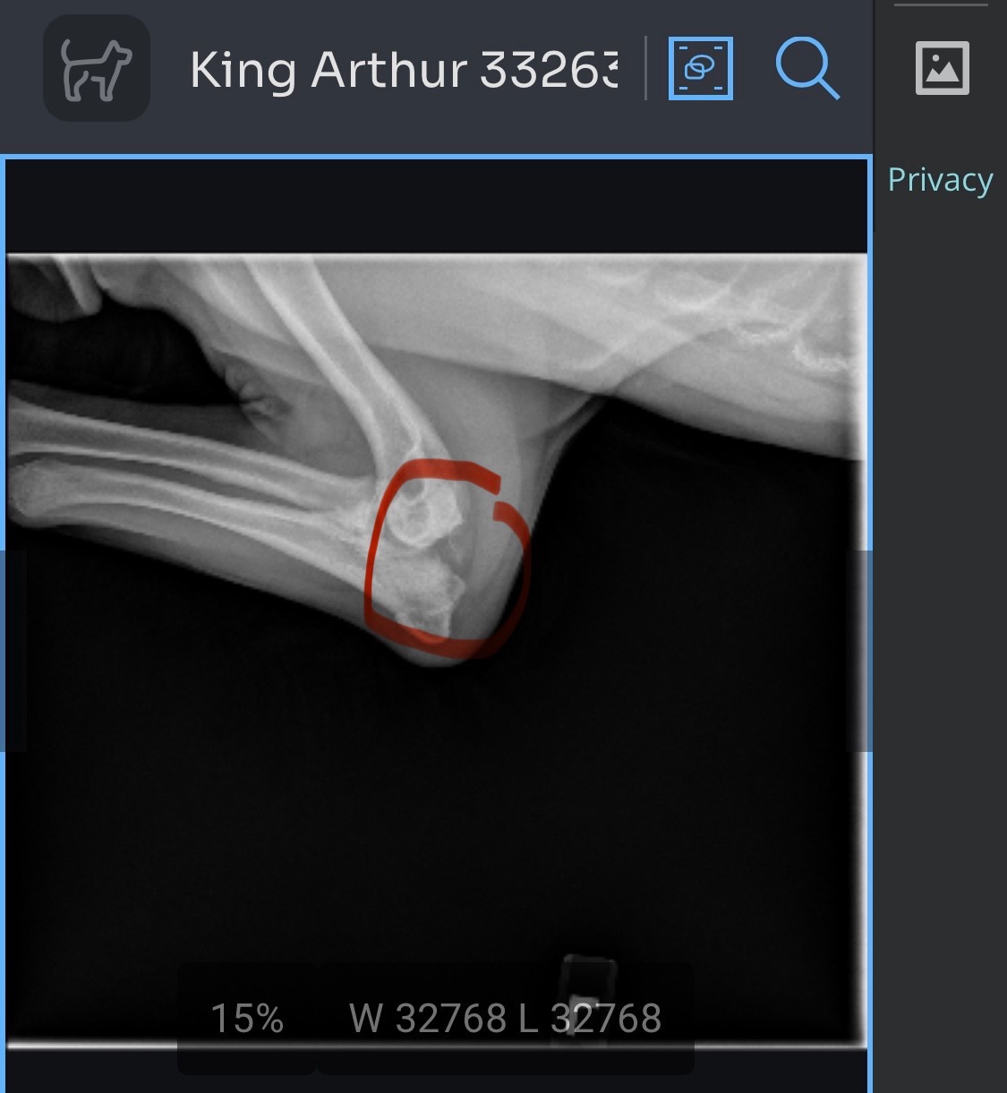 Support King Arthur's Journey to Pain-Free Life campaign photo, 7 of 8