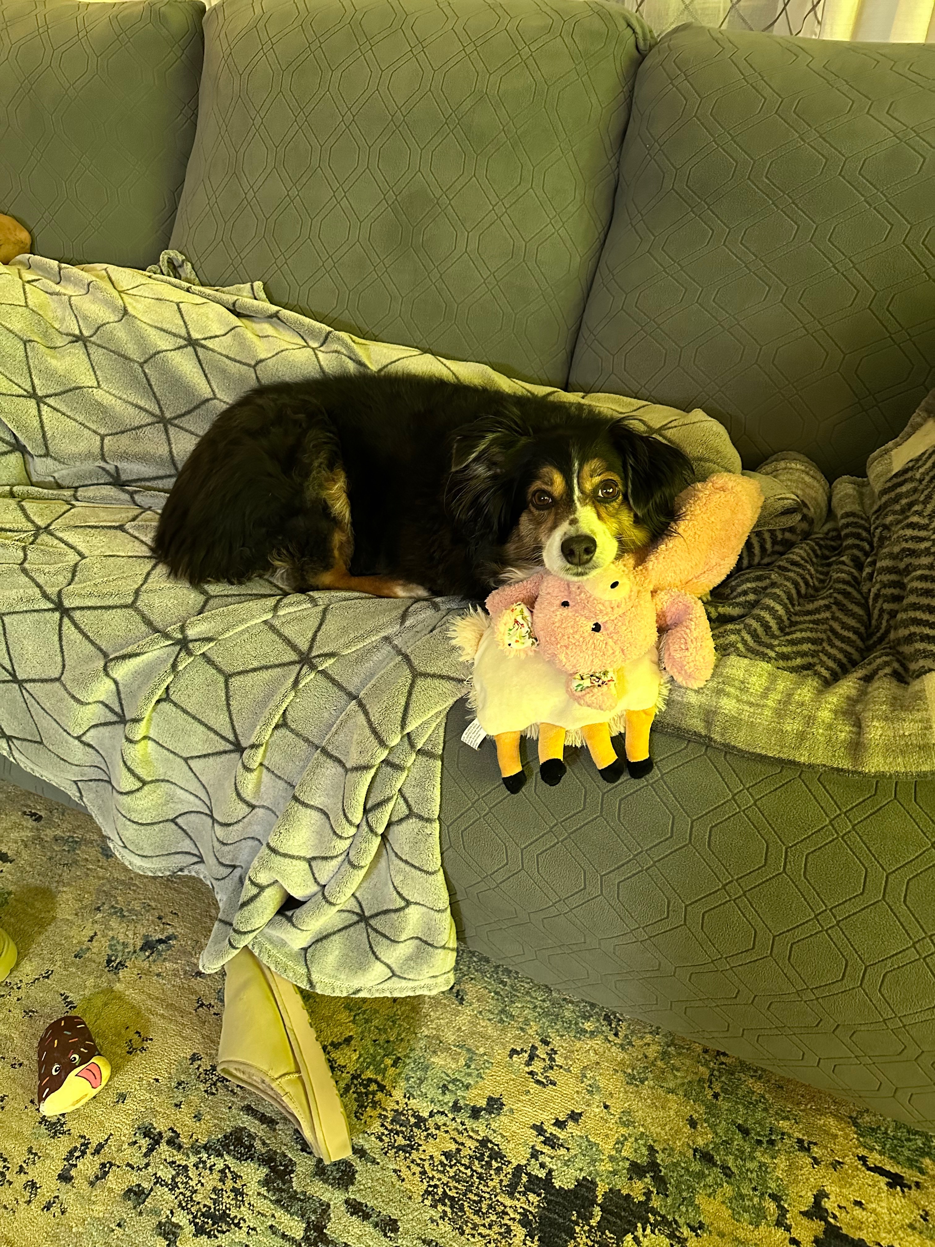 Help Lucy Heal After Her Accident campaign photo, 6 of 8