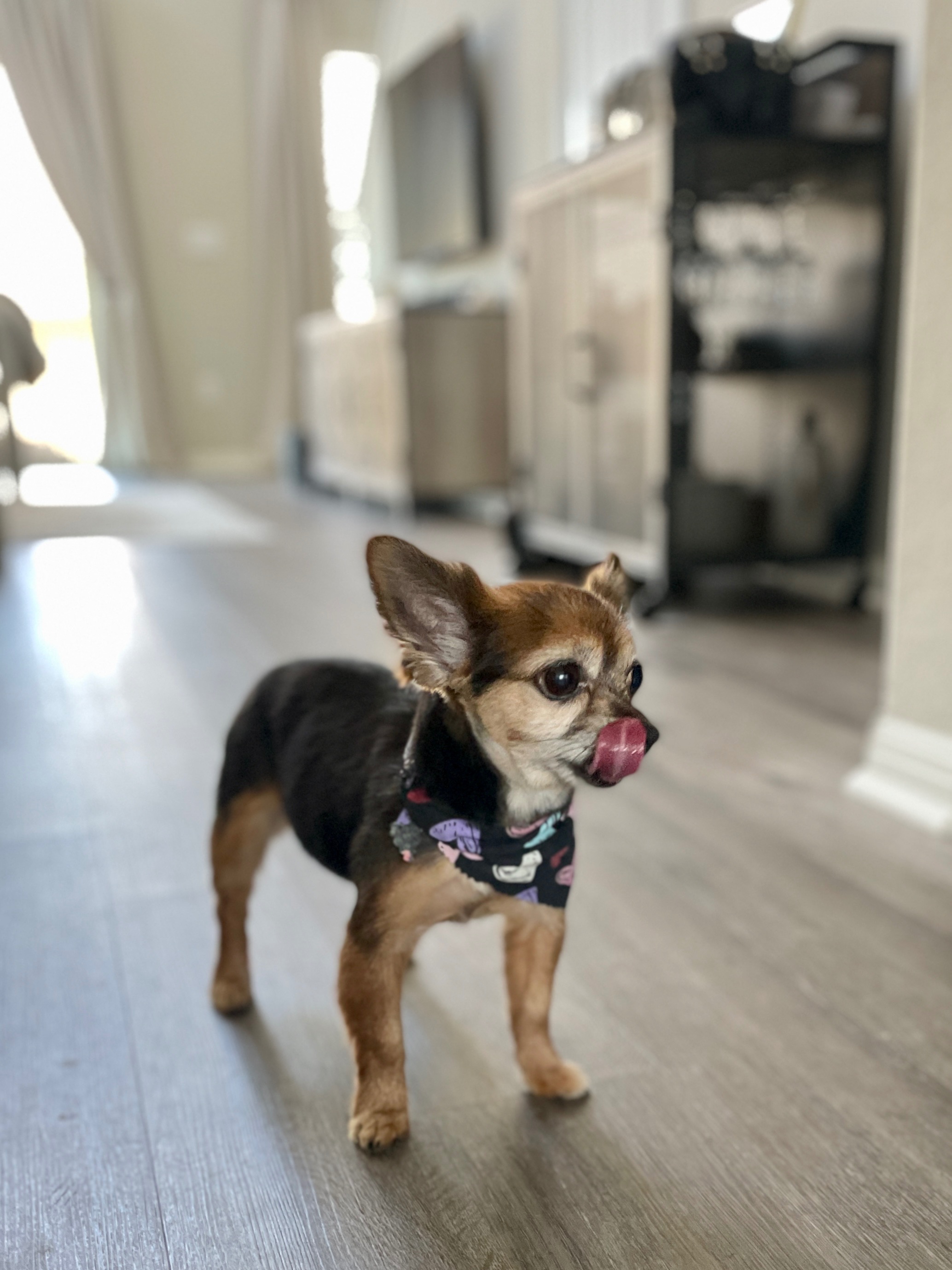 Help Jimmy Chew Get Urgent Dental Care campaign photo, 7 of 8