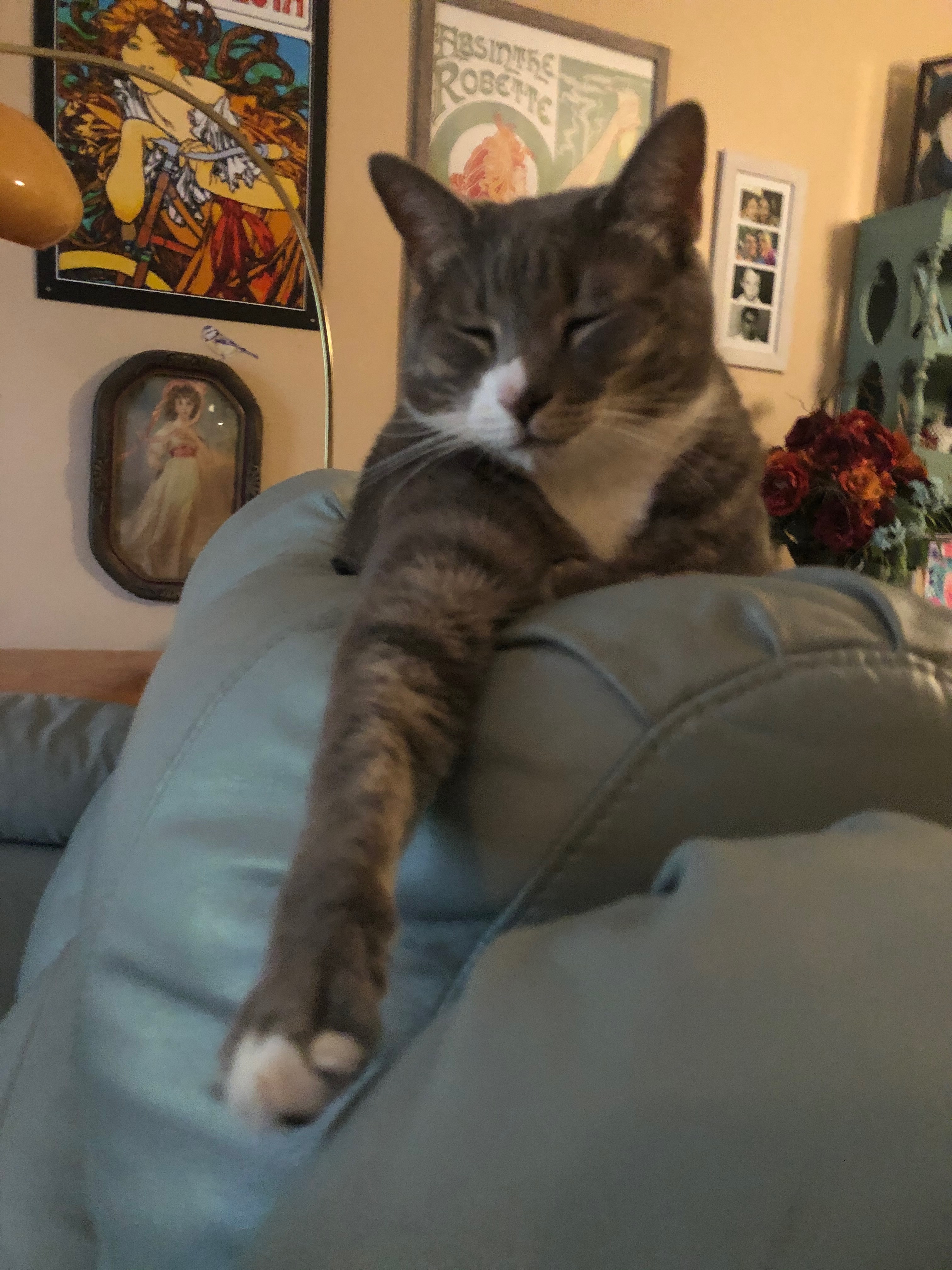 Donate to Help Me Save Bean's Life campaign photo, 6 of 8