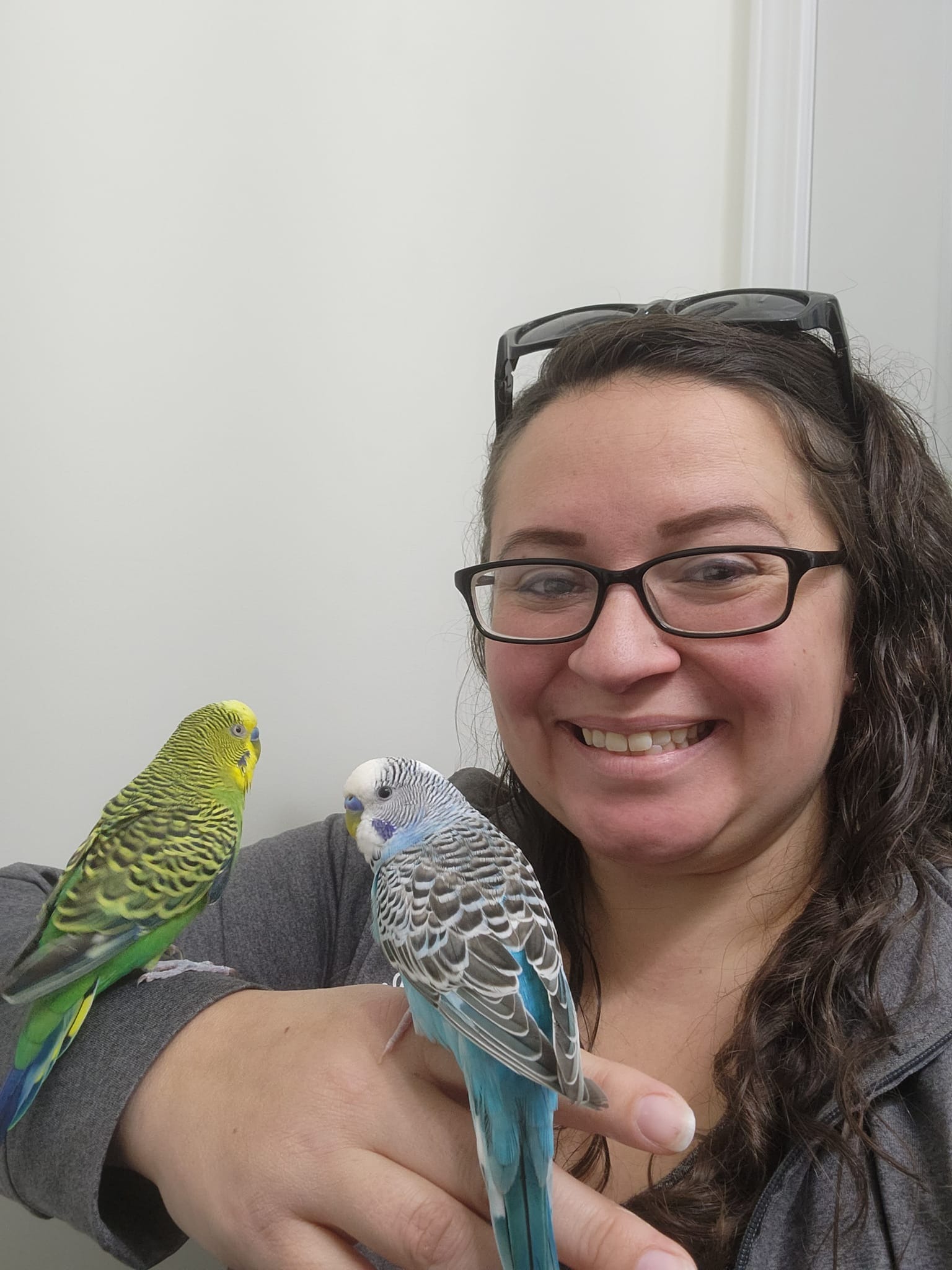 Support my dream of a facility for From Fur to Feathers, LLC campaign photo, 6 of 8