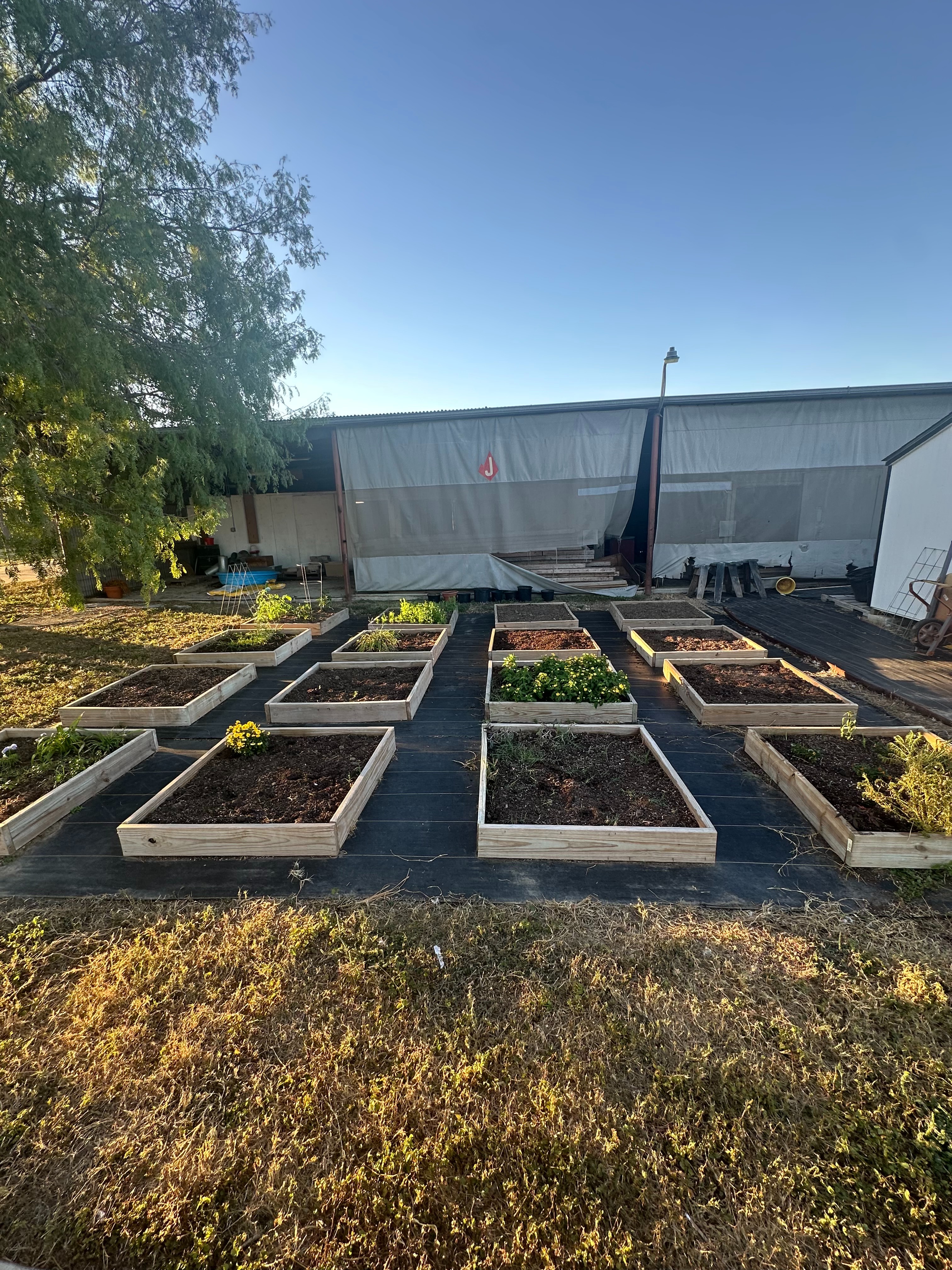 Donate to Rene's Elementary School Garden Project campaign photo, 4 of 6