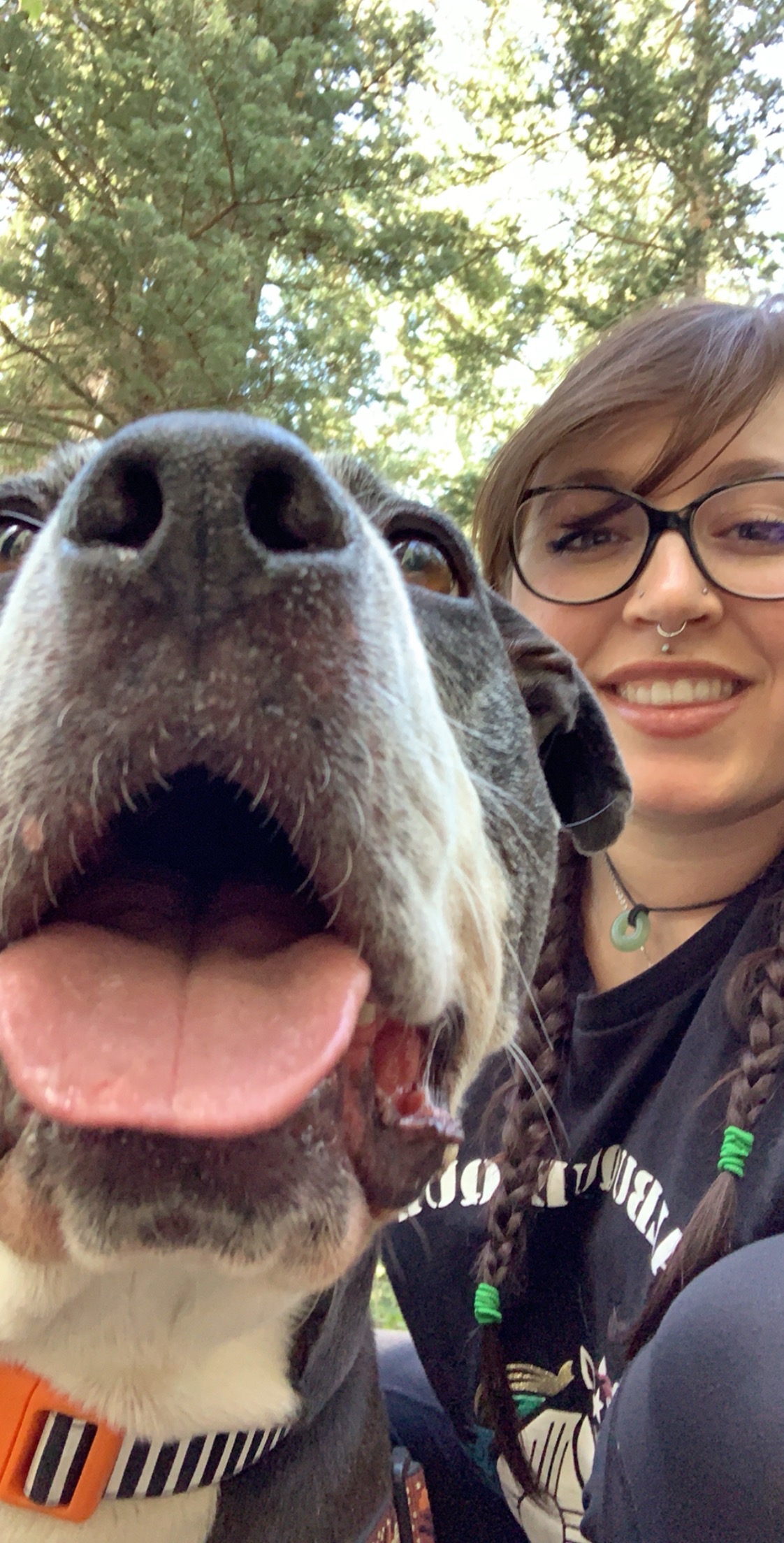 Help Buster Overcome His Health Battle campaign photo, 2 of 8