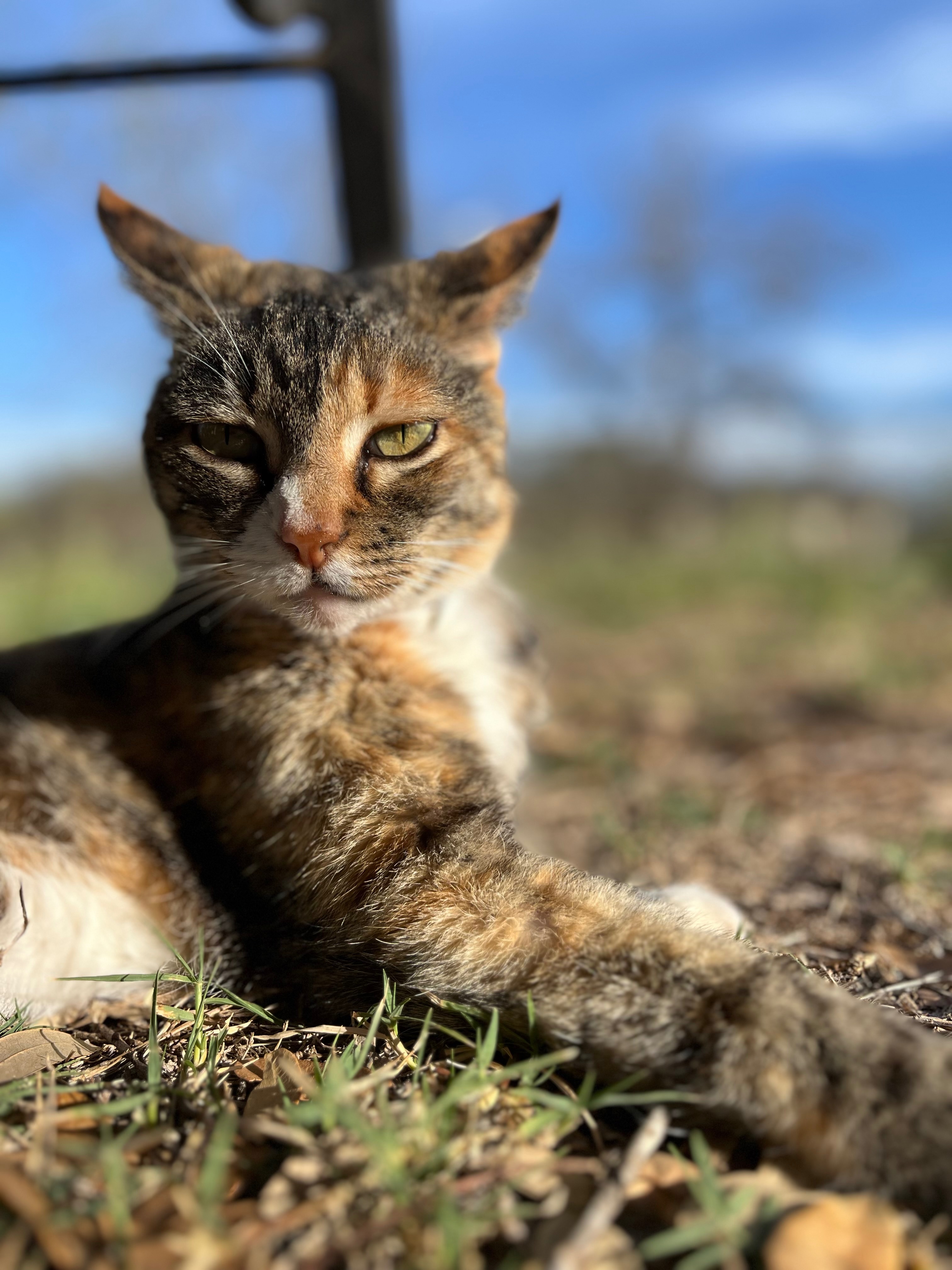 Ensure Hunter's Comfort in Her Golden Years campaign photo, 4 of 5