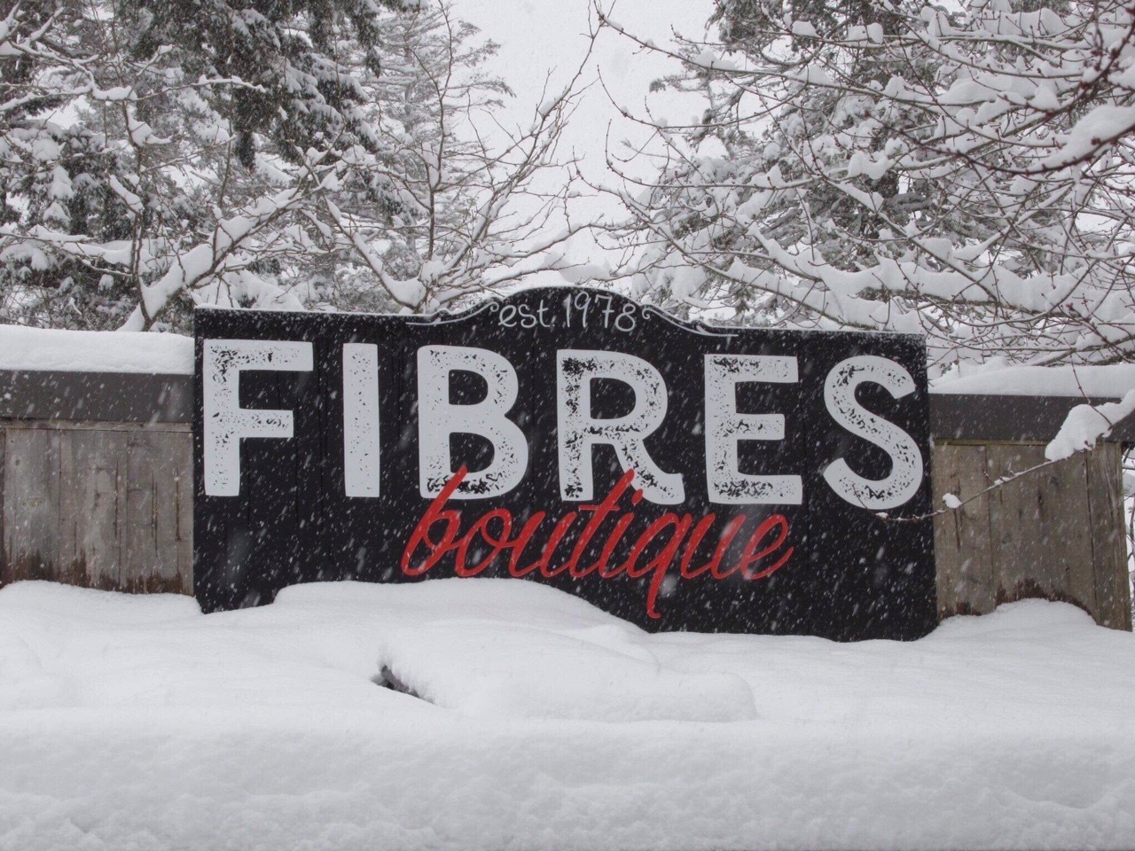 Help Fibres Get a New Roof! campaign photo, 4 of 8