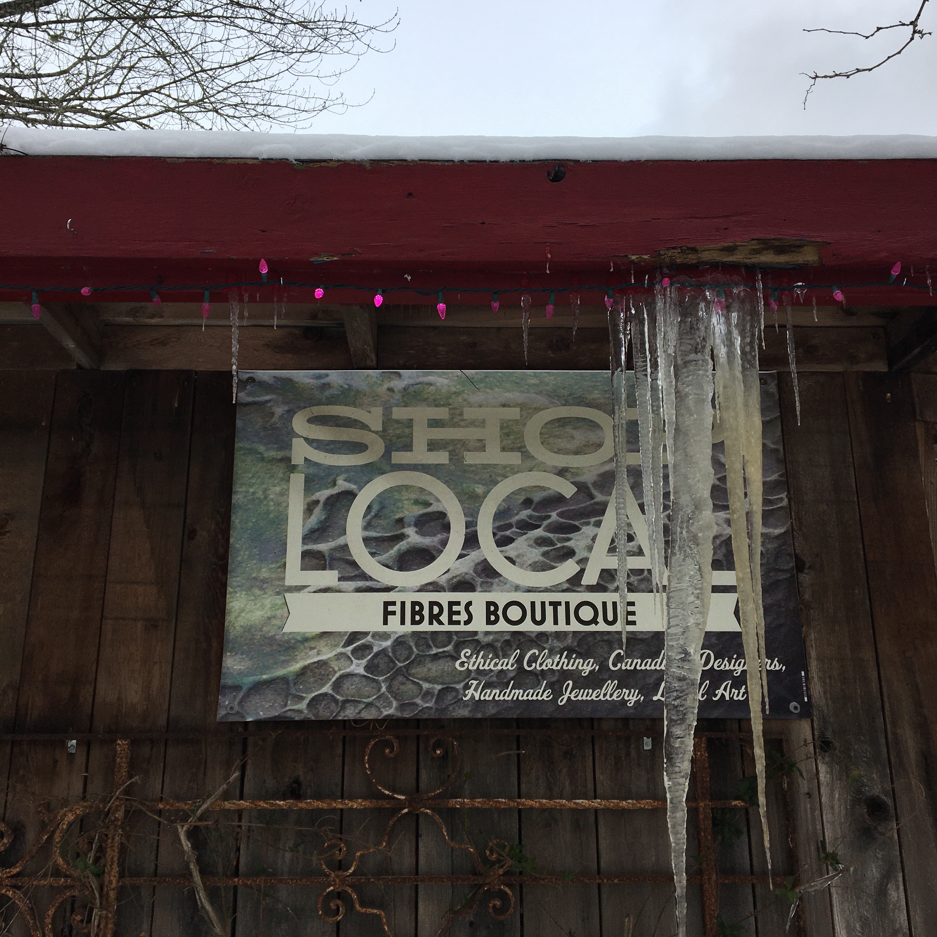 Help Fibres Get a New Roof! campaign photo, 5 of 8