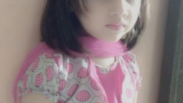 Little girl big fight photo