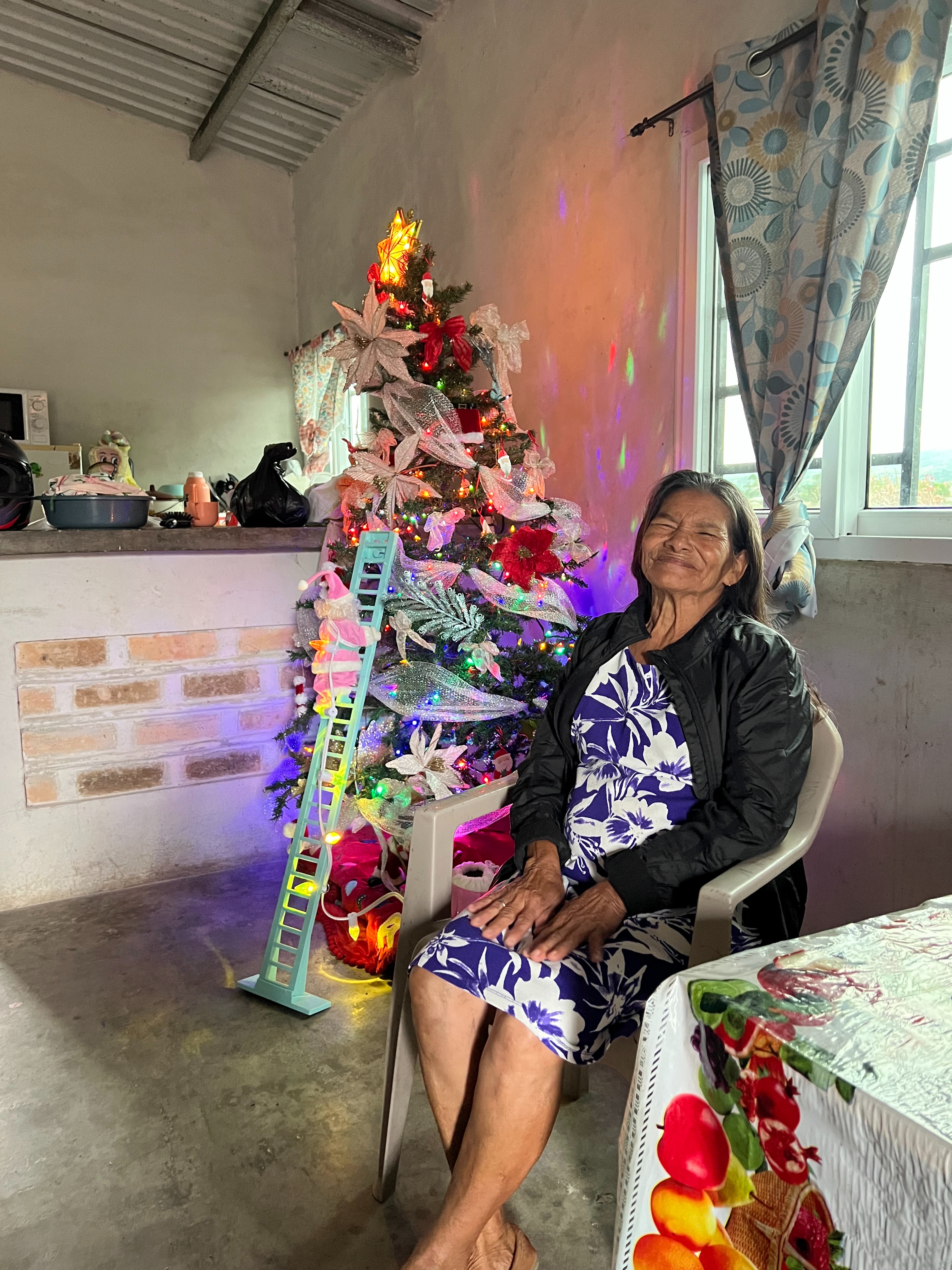 Help My Grandmother Felipa Get Life-Saving Hip Surgery campaign photo, 2 of 6
