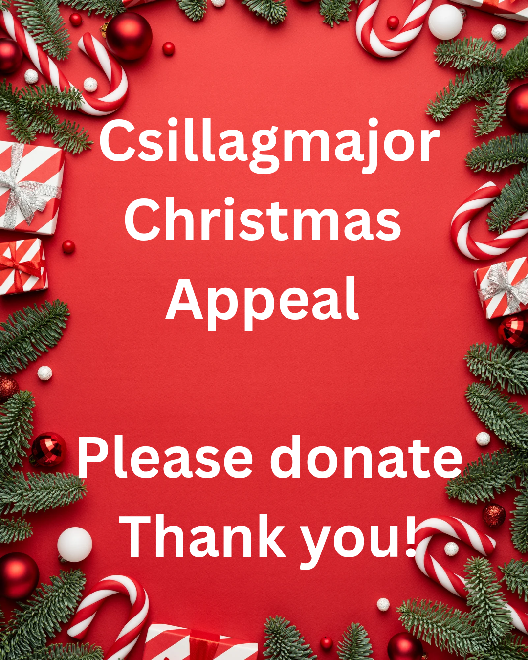 Csillagmajor Christmas support campaign photo, 4 of 5