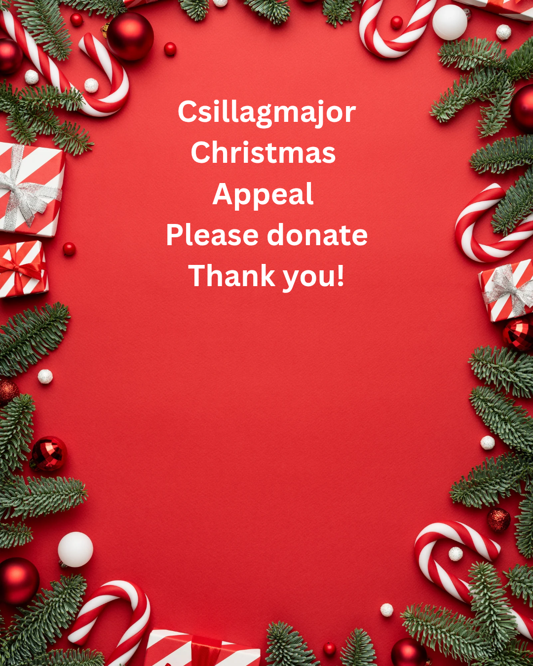 Csillagmajor Christmas support campaign photo, 2 of 5
