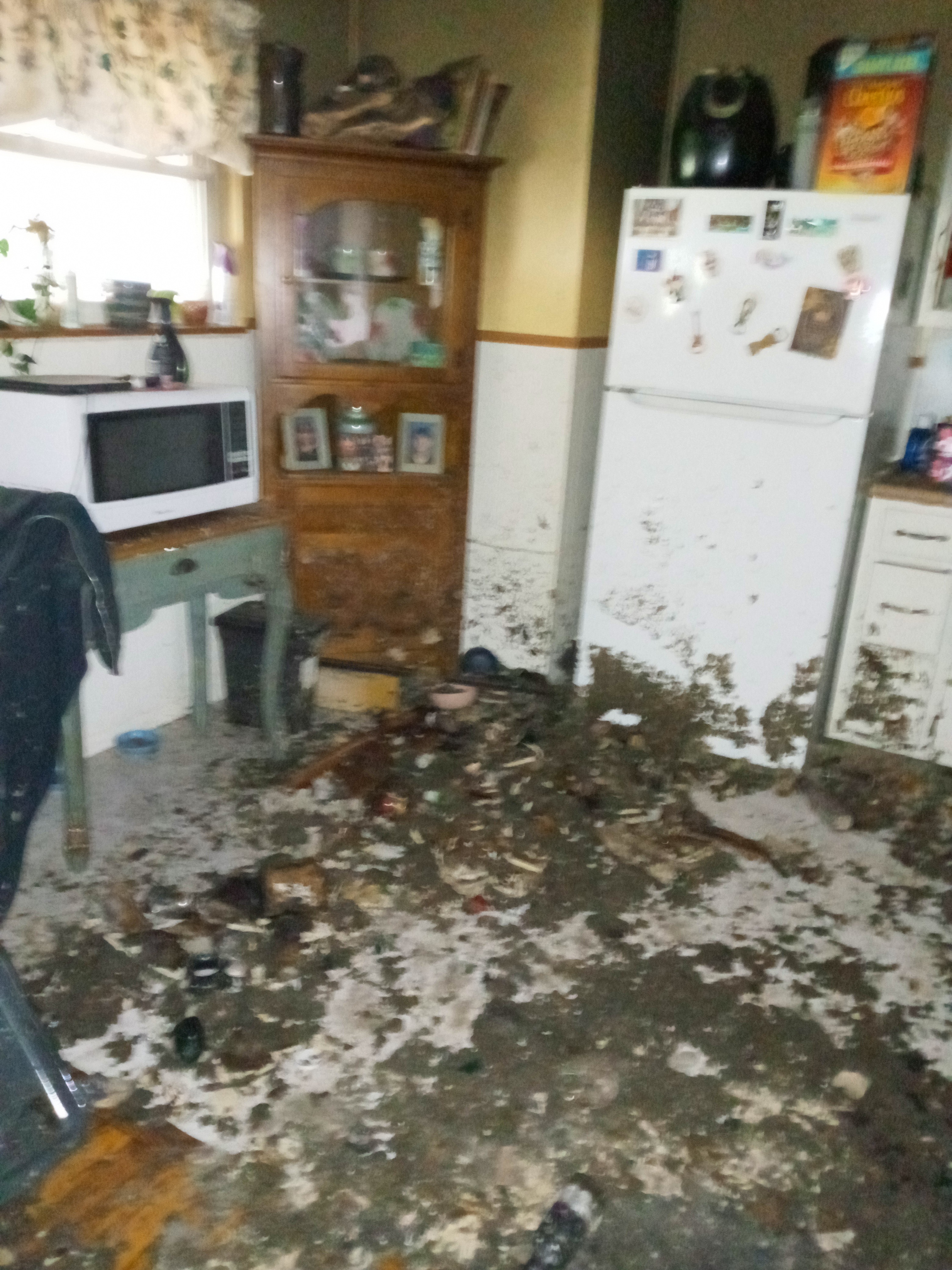 Support Needed: Recovering from House Fire campaign photo, 2 of 5