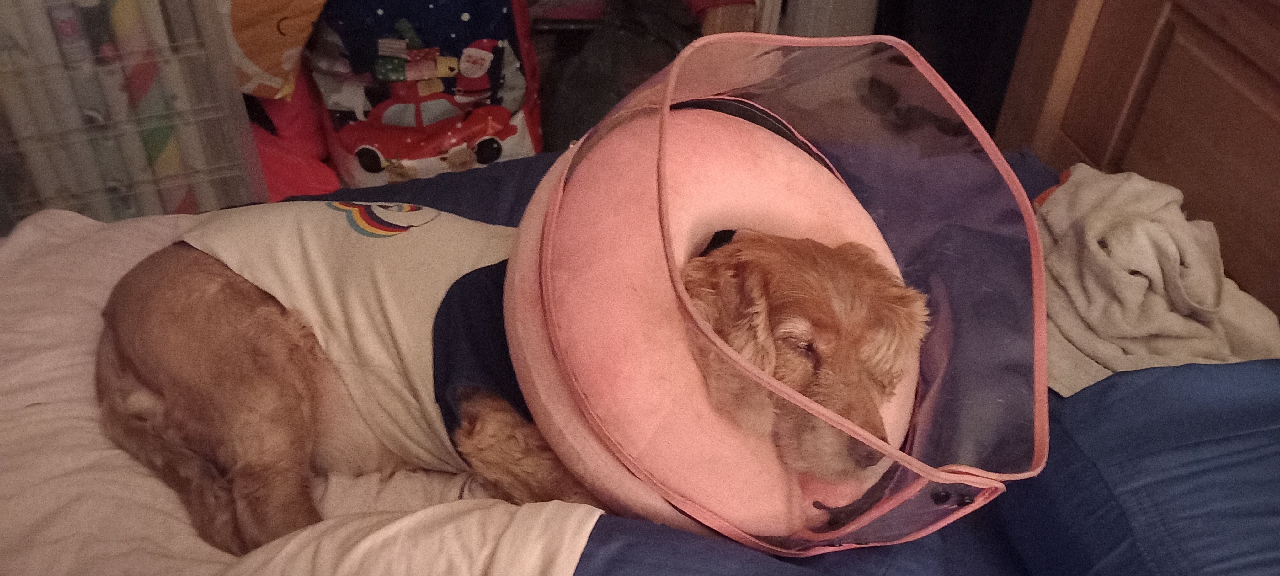 Dora needs a mass removed campaign photo, 2 of 6