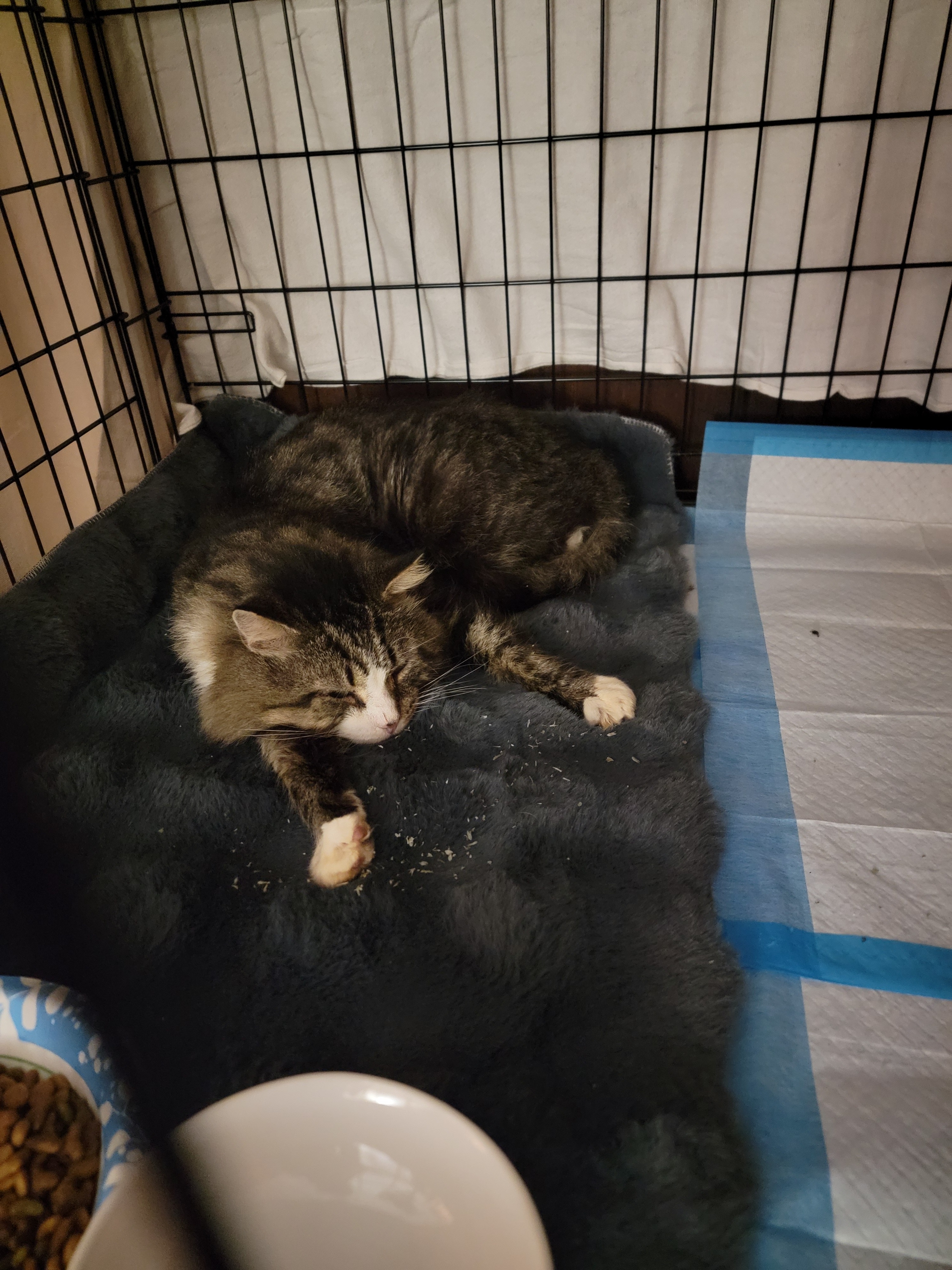 Donate for Pierre's Life-Saving Echocardiogram campaign photo, 4 of 5