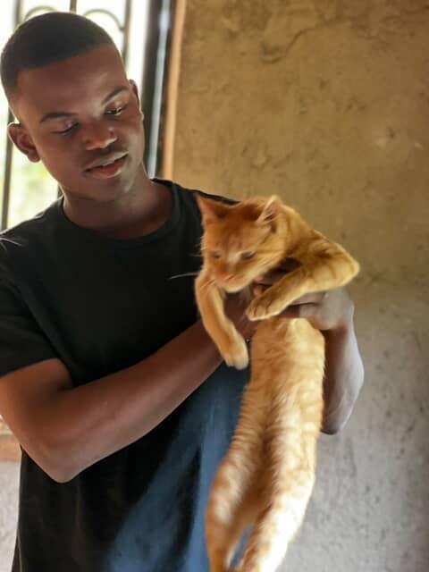 Donate to Feed and Shelter More Cats with Josh campaign photo, 2 of 5