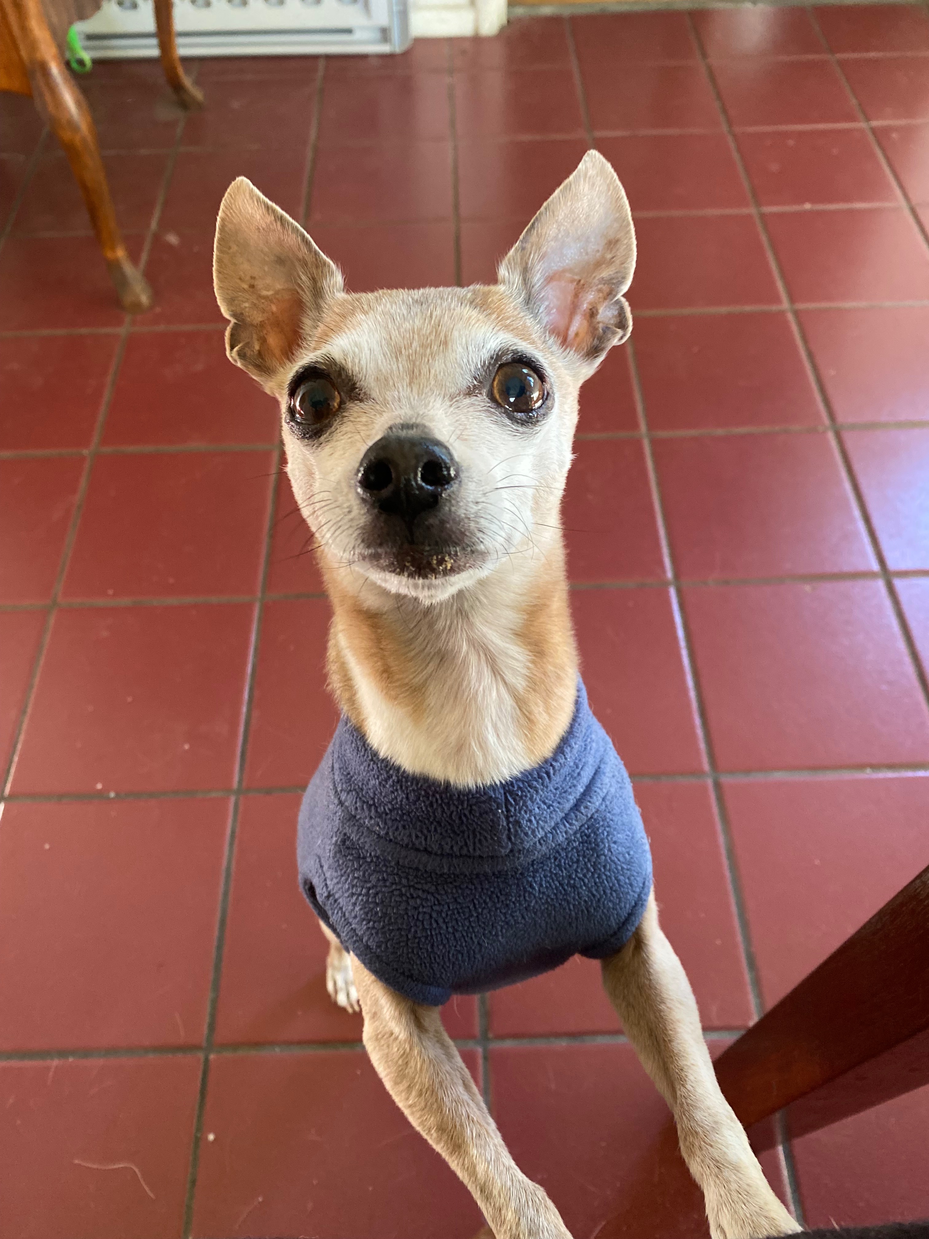 Help Arthur Get Life-Saving Surgery campaign photo, 6 of 6