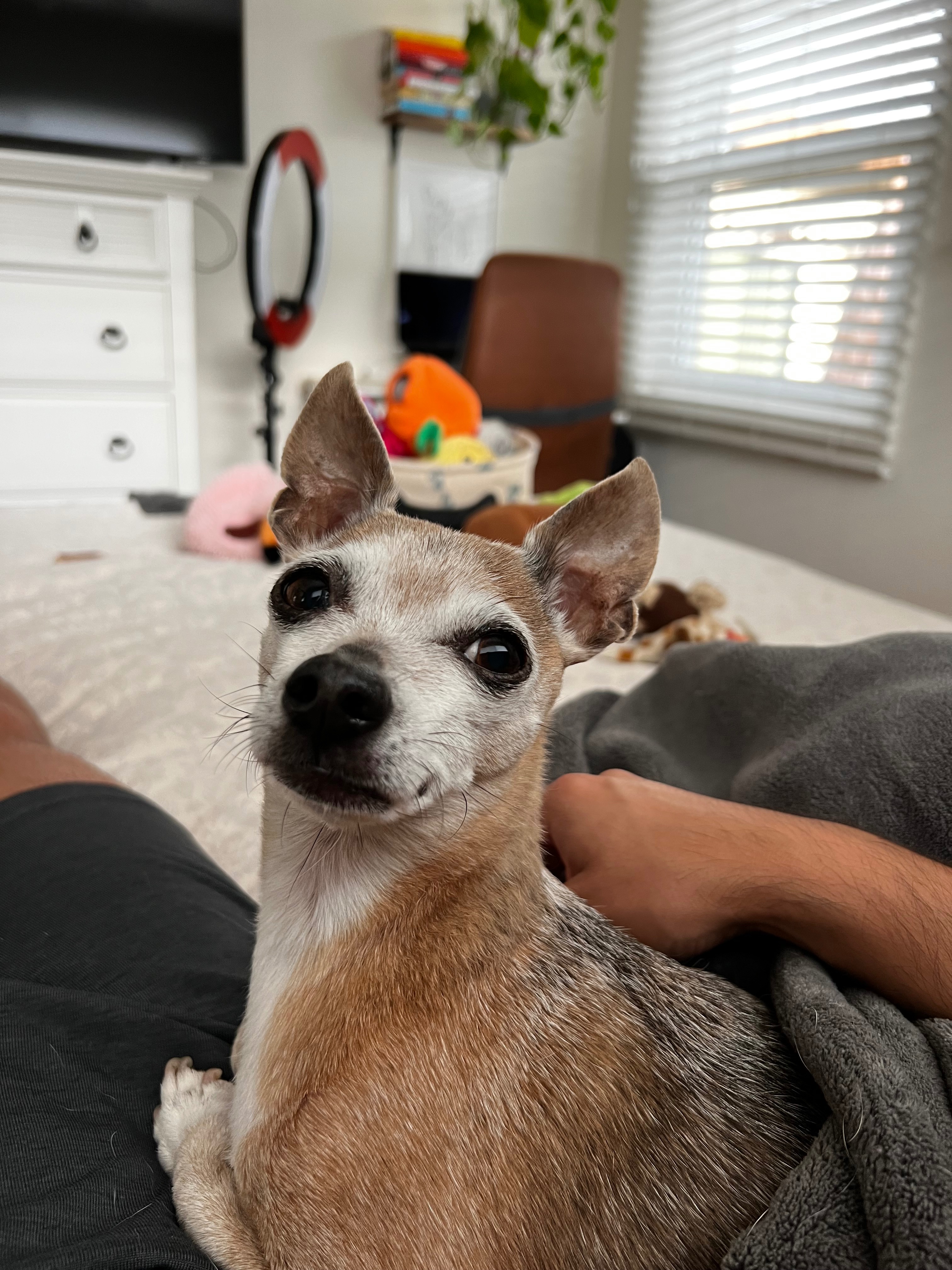 Help Arthur Get Life-Saving Surgery campaign photo, 2 of 6