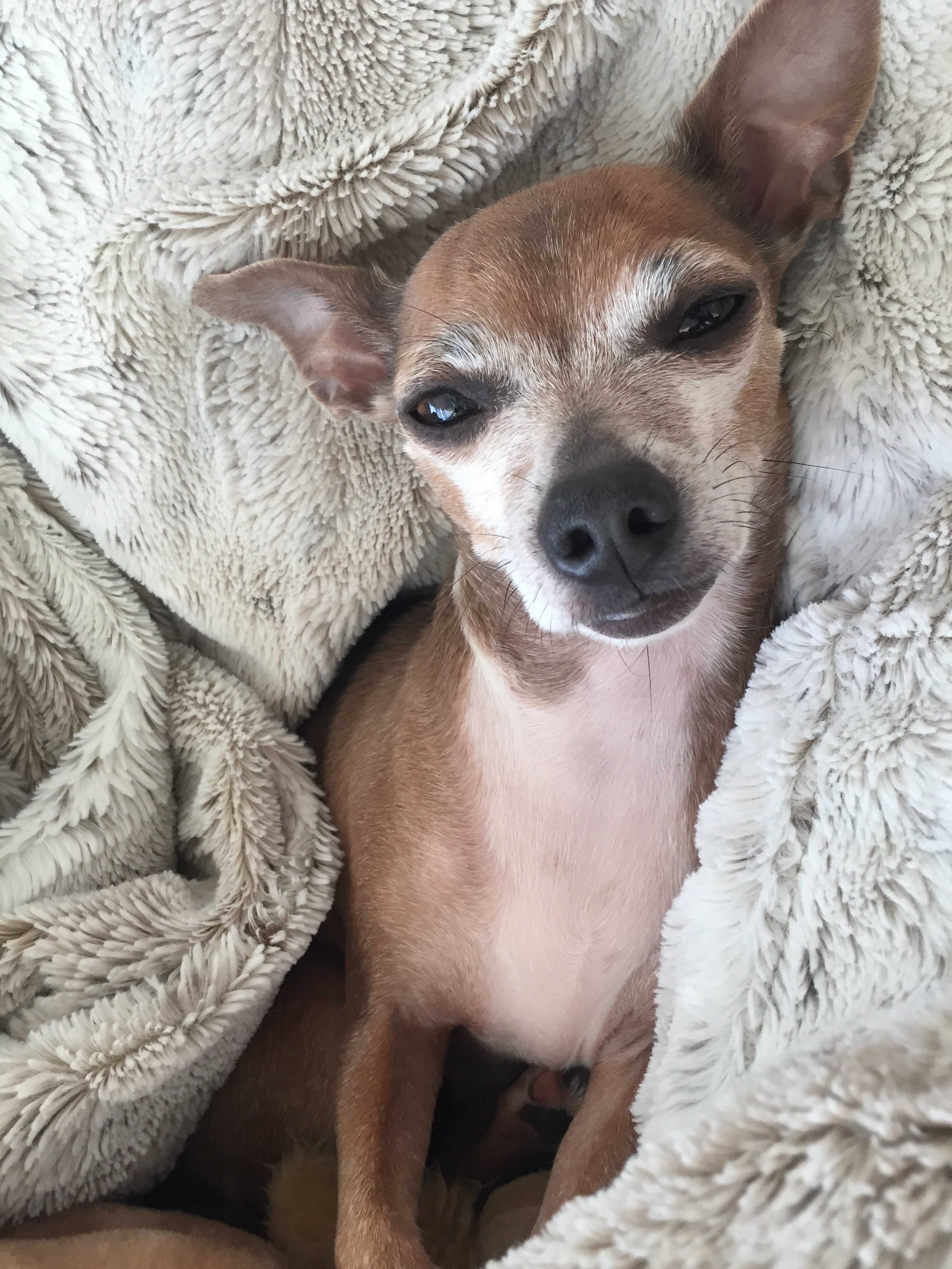 Help Arthur Get Life-Saving Surgery campaign photo, 4 of 6