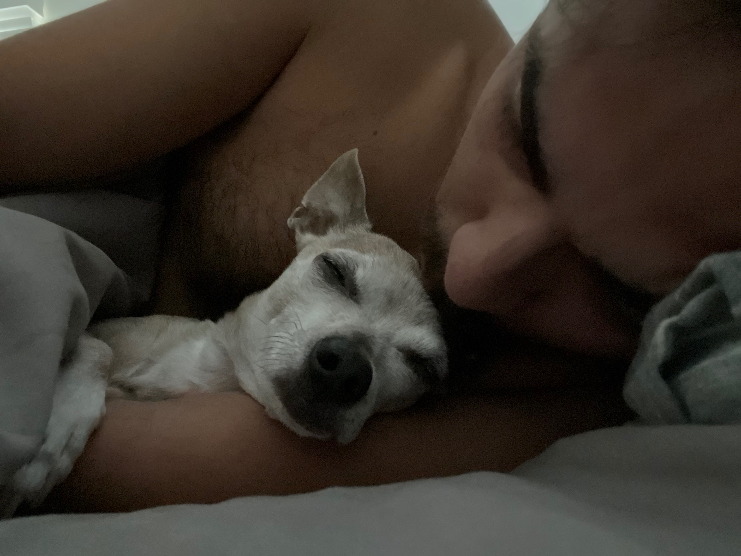 Help Arthur Get Life-Saving Surgery campaign photo, 5 of 6