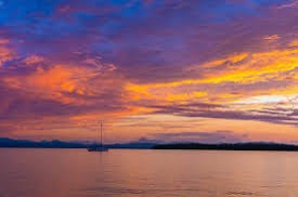 User-uploaded image 1