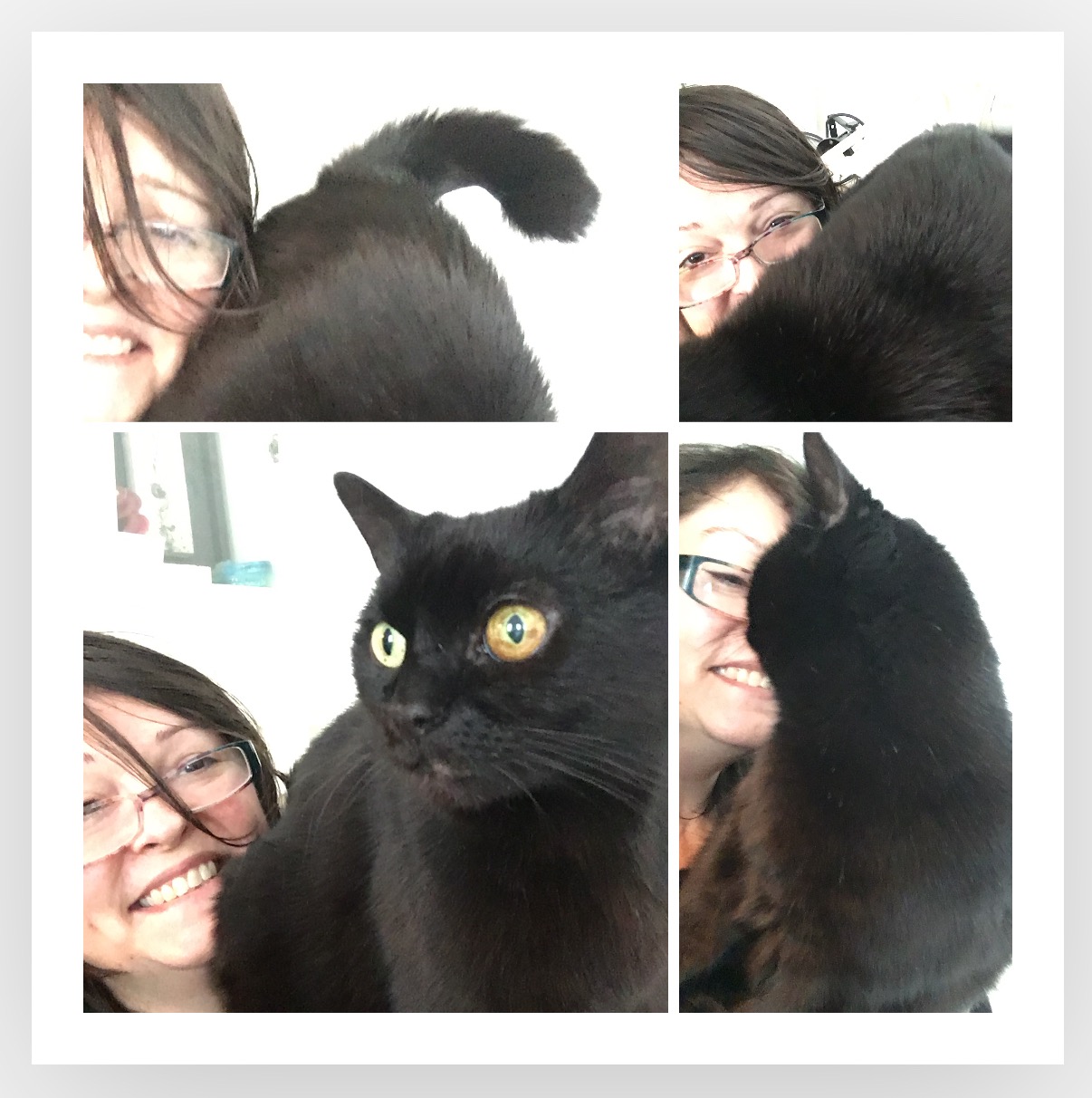 Meine Katze braucht eine OP.  My cat needs an operation. campaign photo, 6 of 7