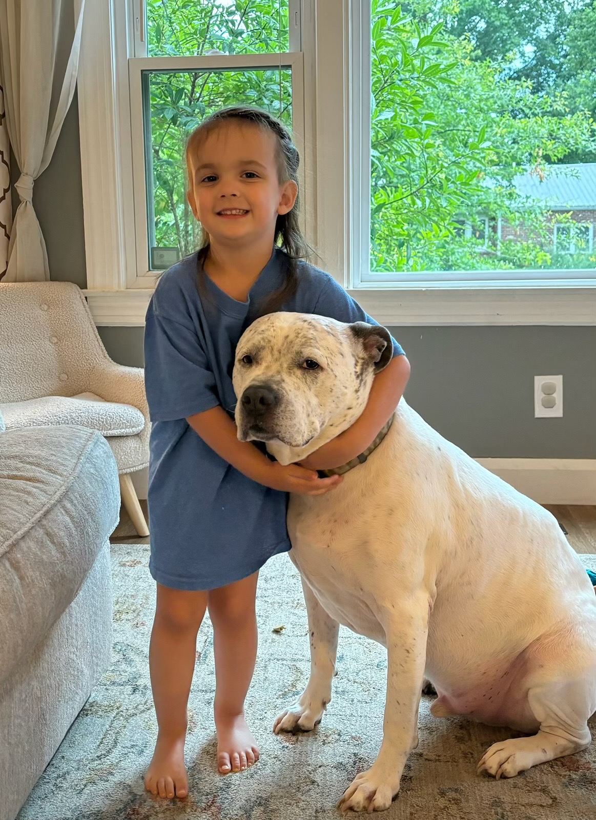 Save Shabba: Our Hero Dog Needs Urgent Surgery campaign photo, 2 of 5