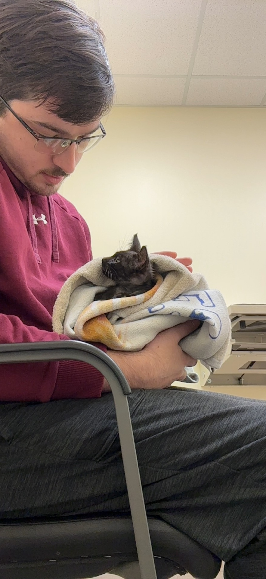 Help Monkey Fight Feline Panleukopenia Virus campaign photo, 2 of 4