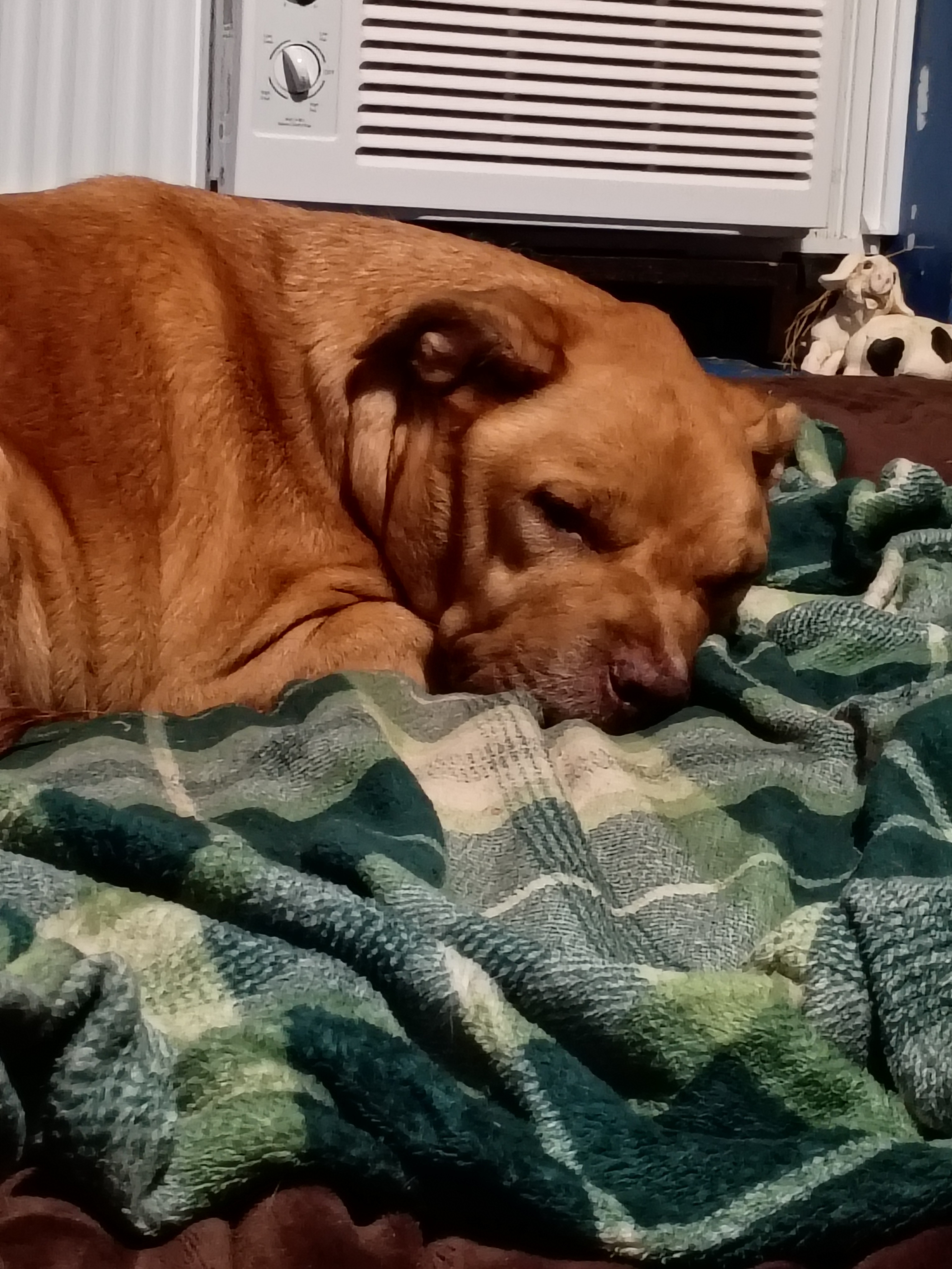 User-uploaded image 1