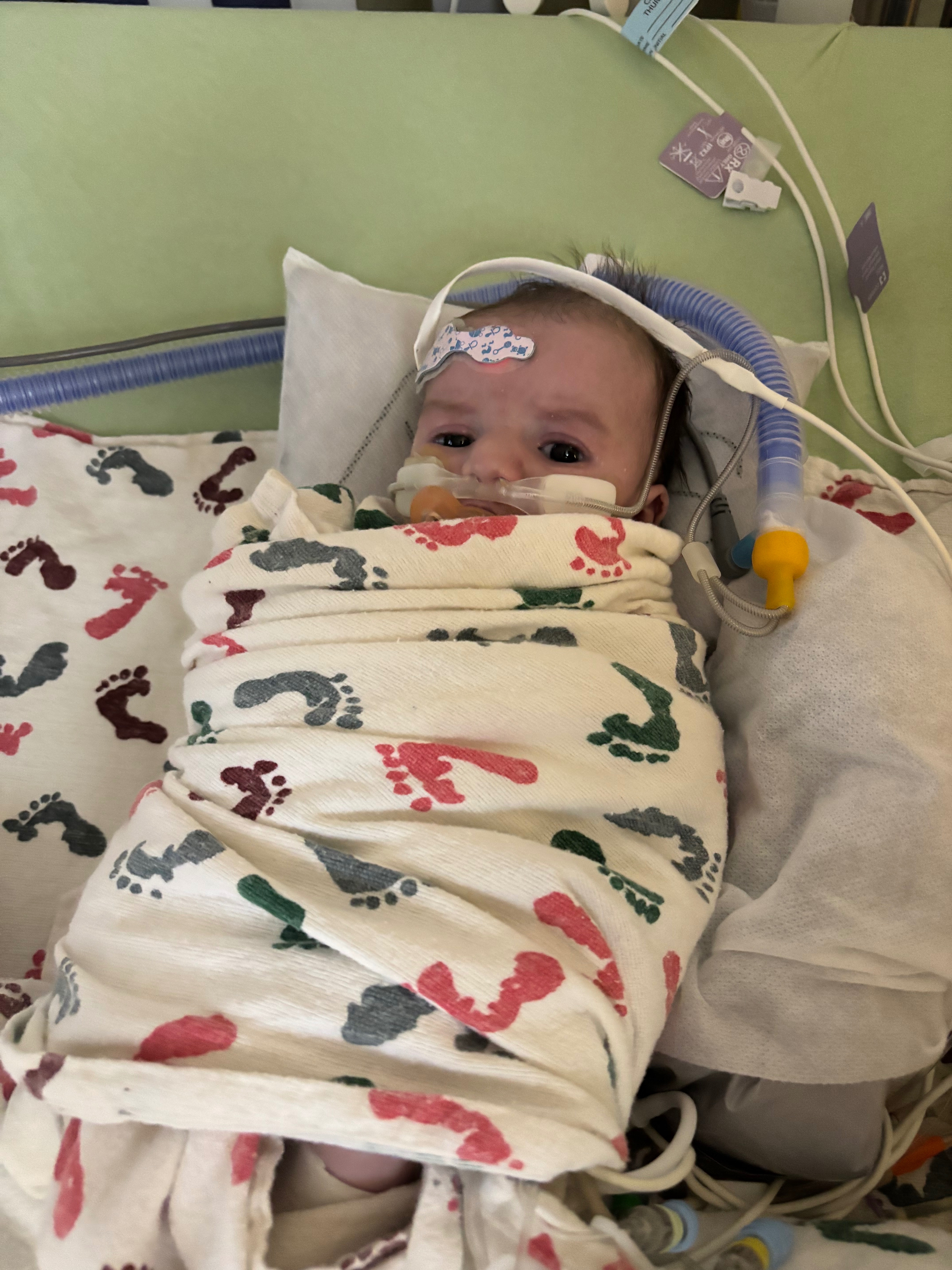 Support Ariella's Final Journey campaign photo, 6 of 7