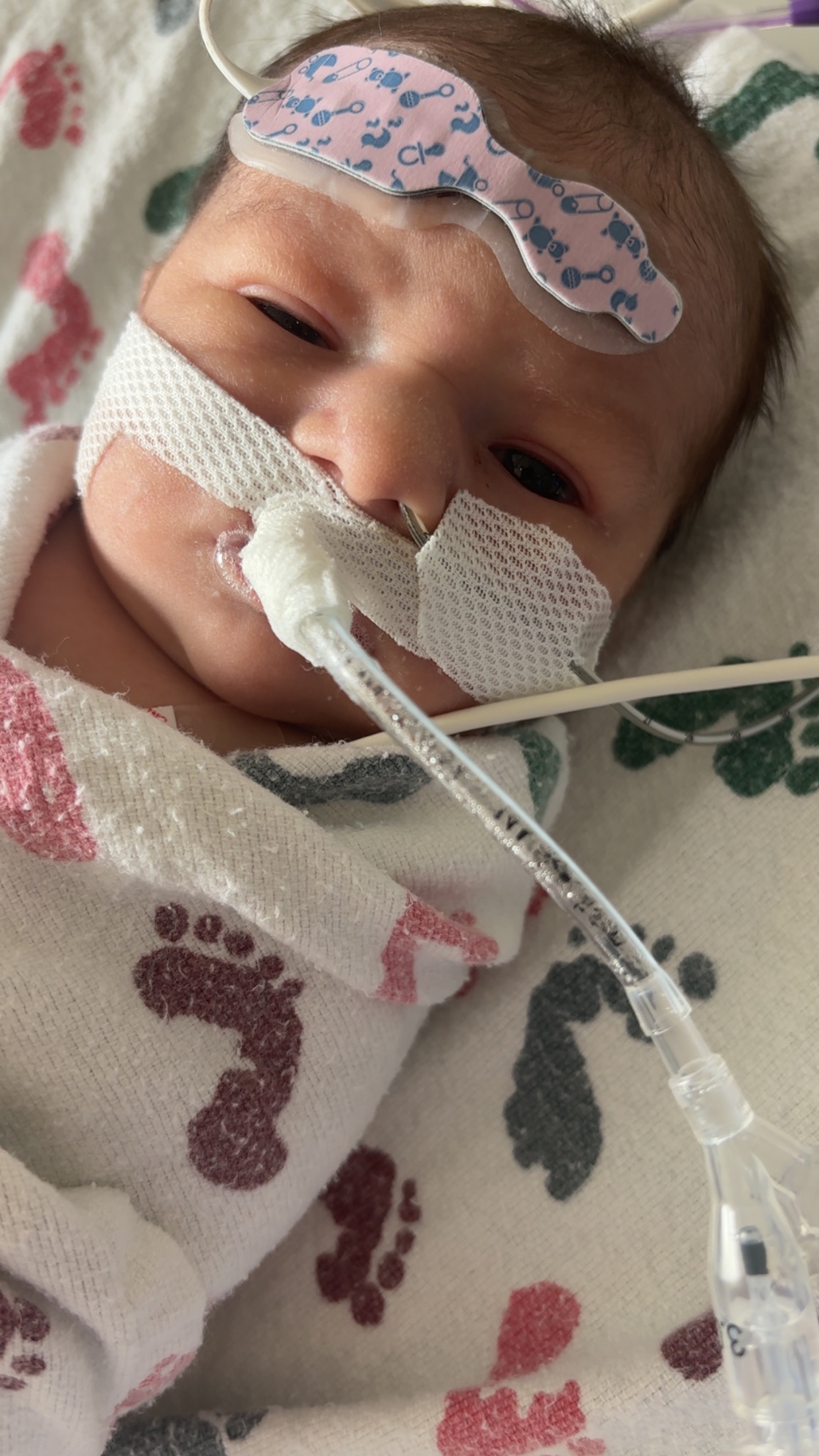 Support Ariella's Final Journey campaign photo, 4 of 7