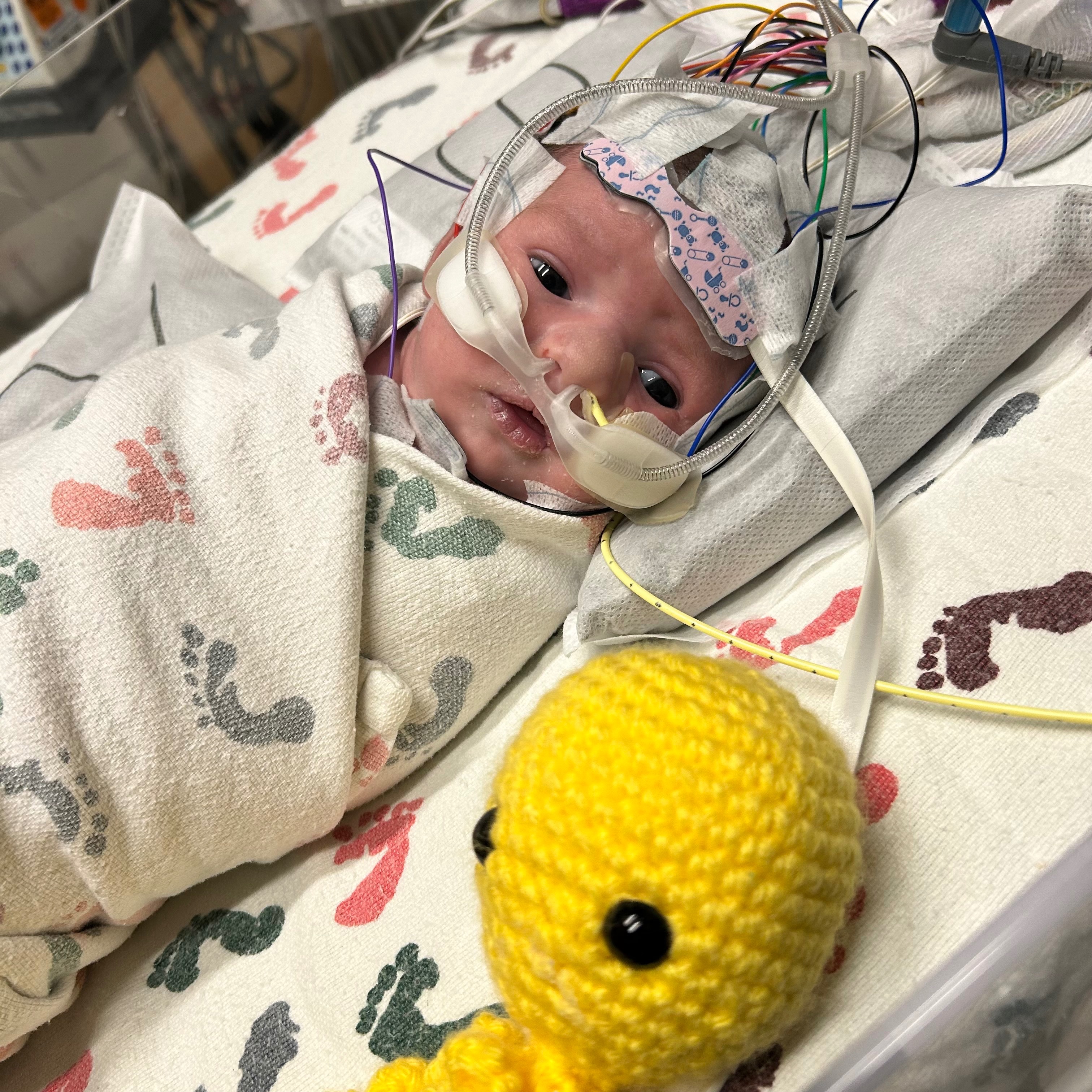 Support Ariella's Final Journey campaign photo, 5 of 7