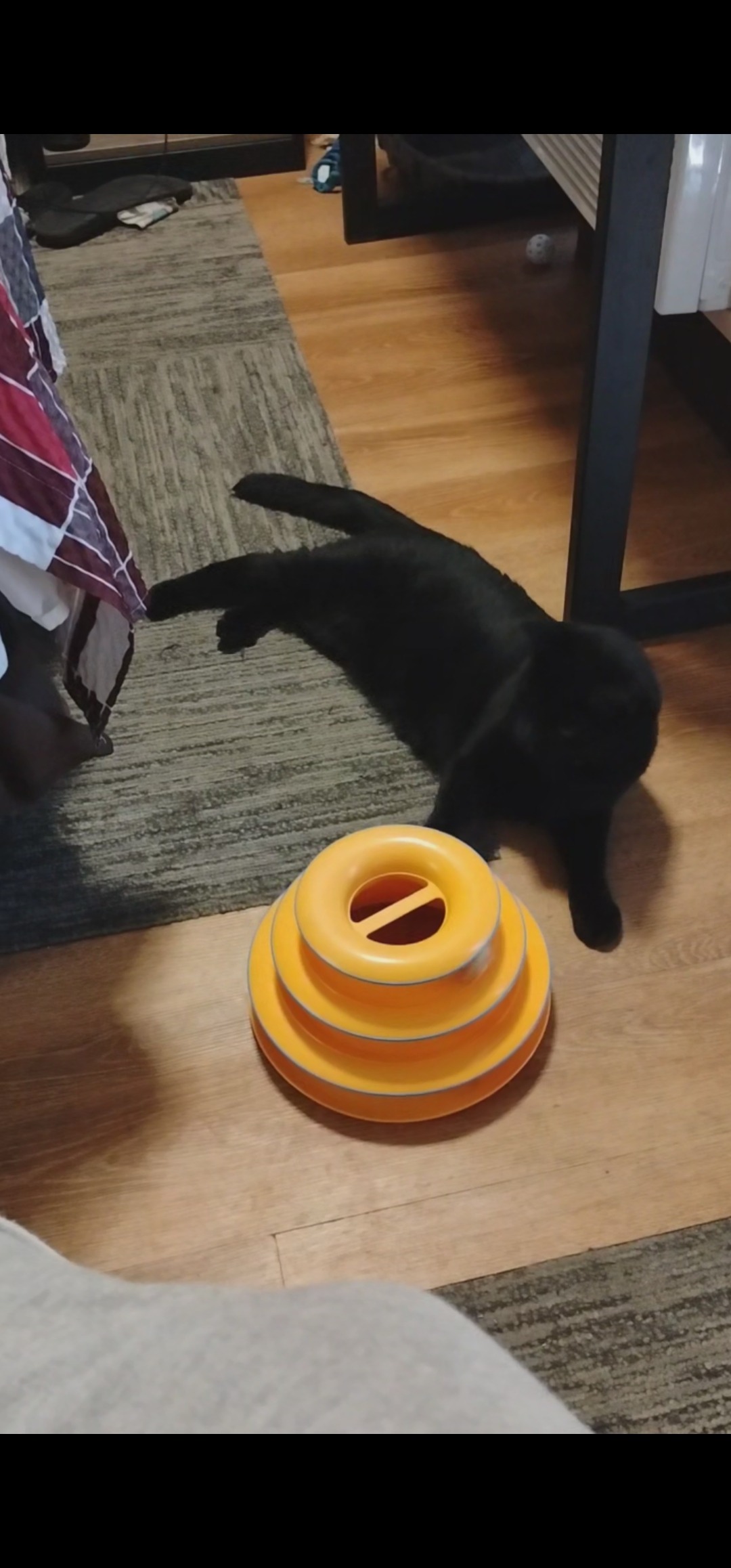 User-uploaded image 1