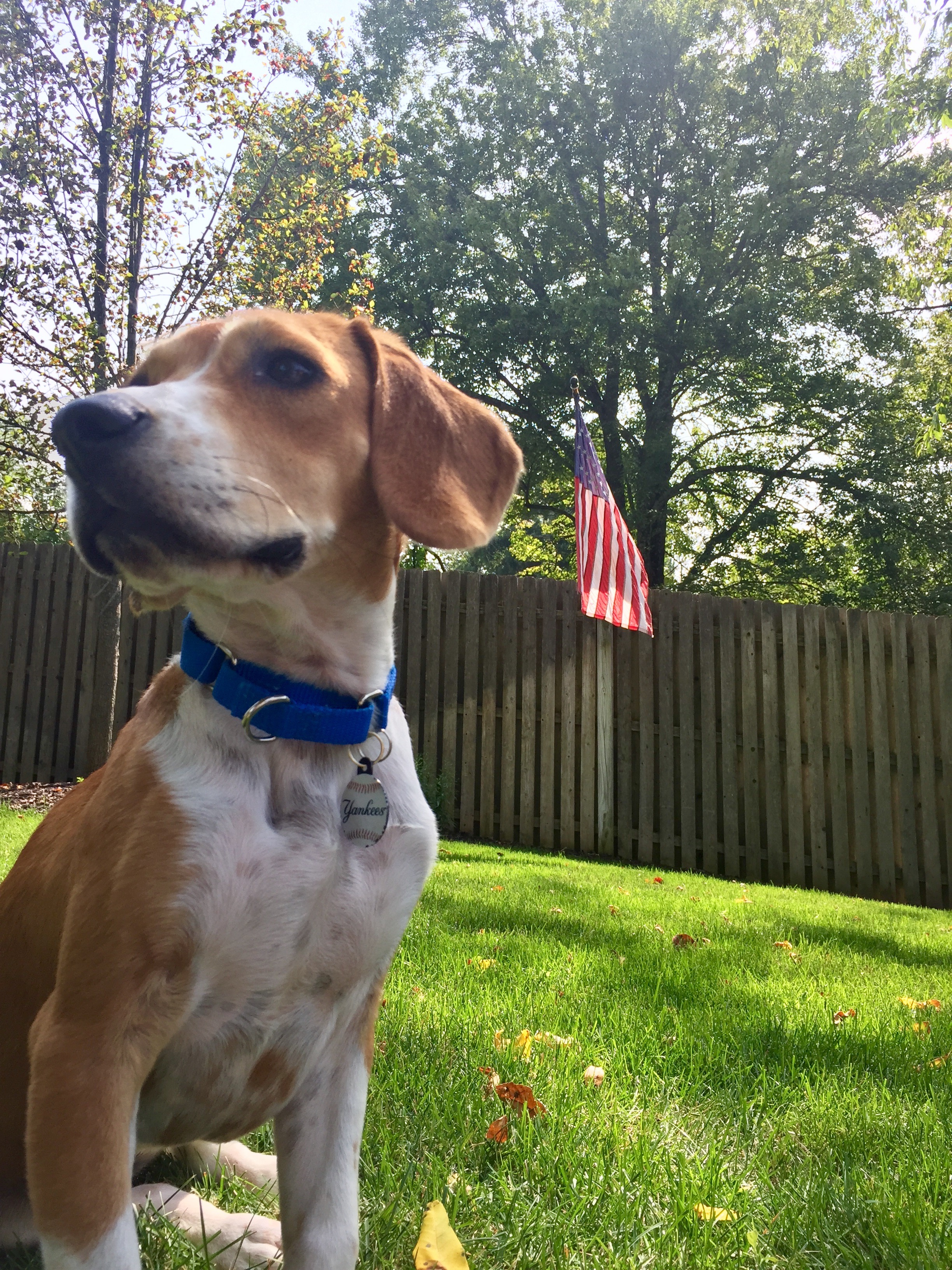 Give Cooper a Chance at Life campaign photo, 6 of 8
