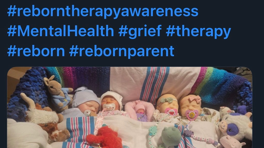 Save Sionnach and Their Beloved Pets