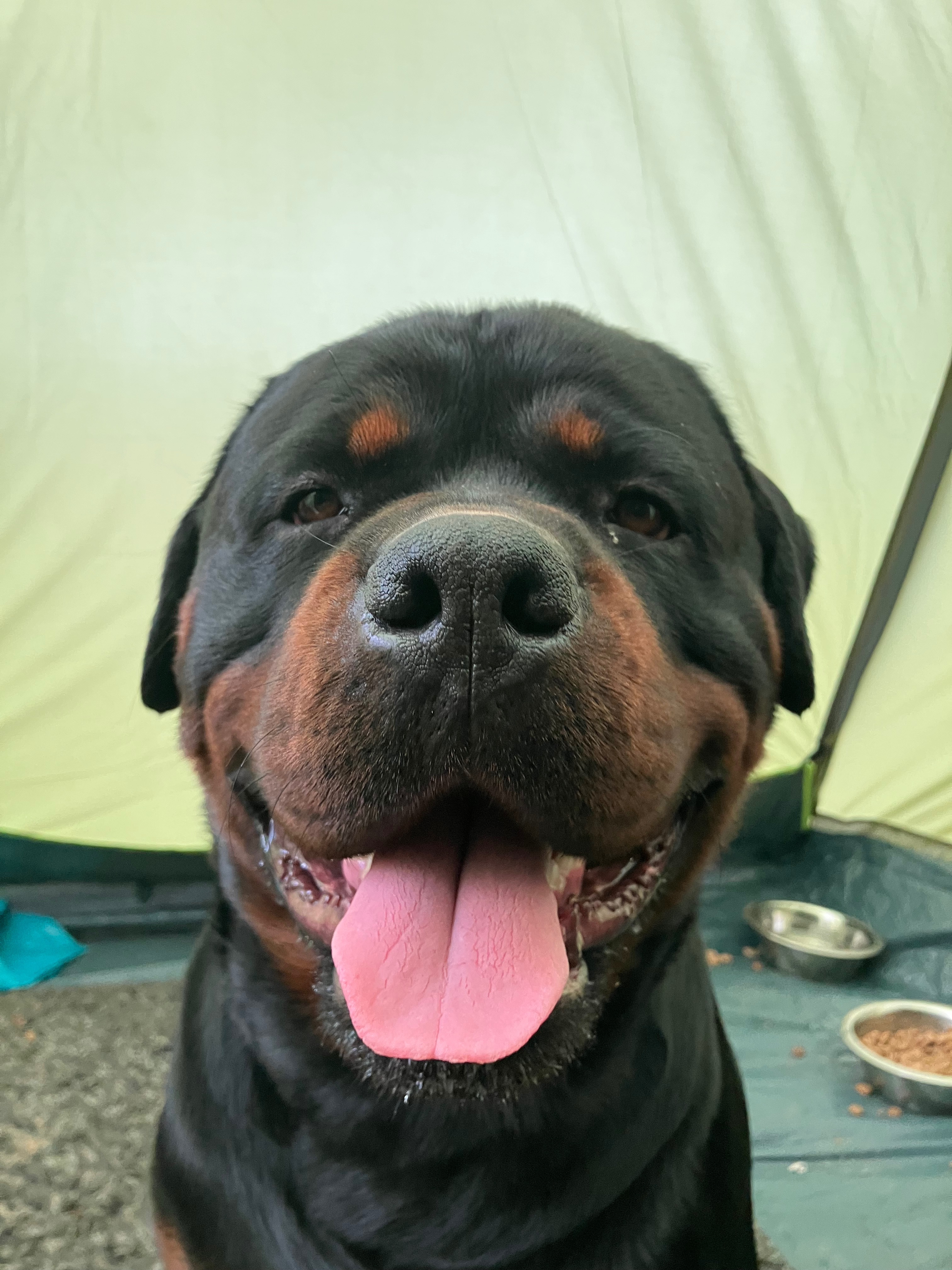 User-uploaded image 1