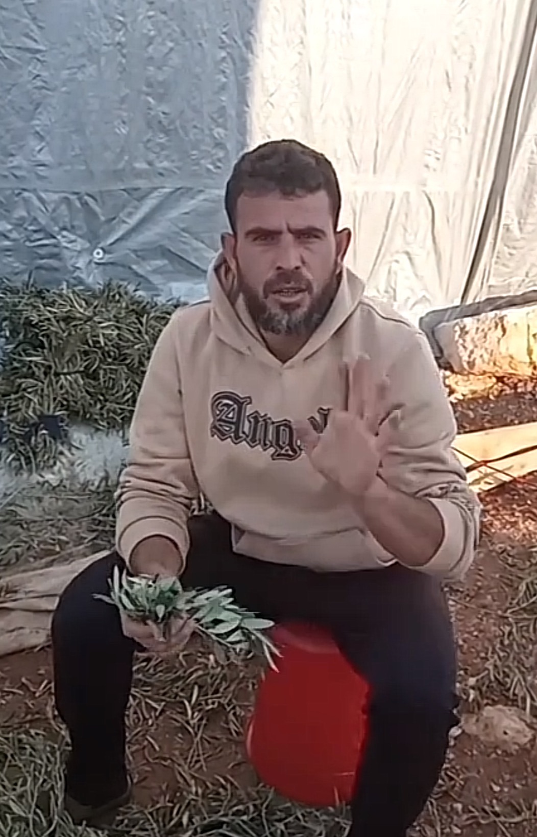 User-uploaded image 1