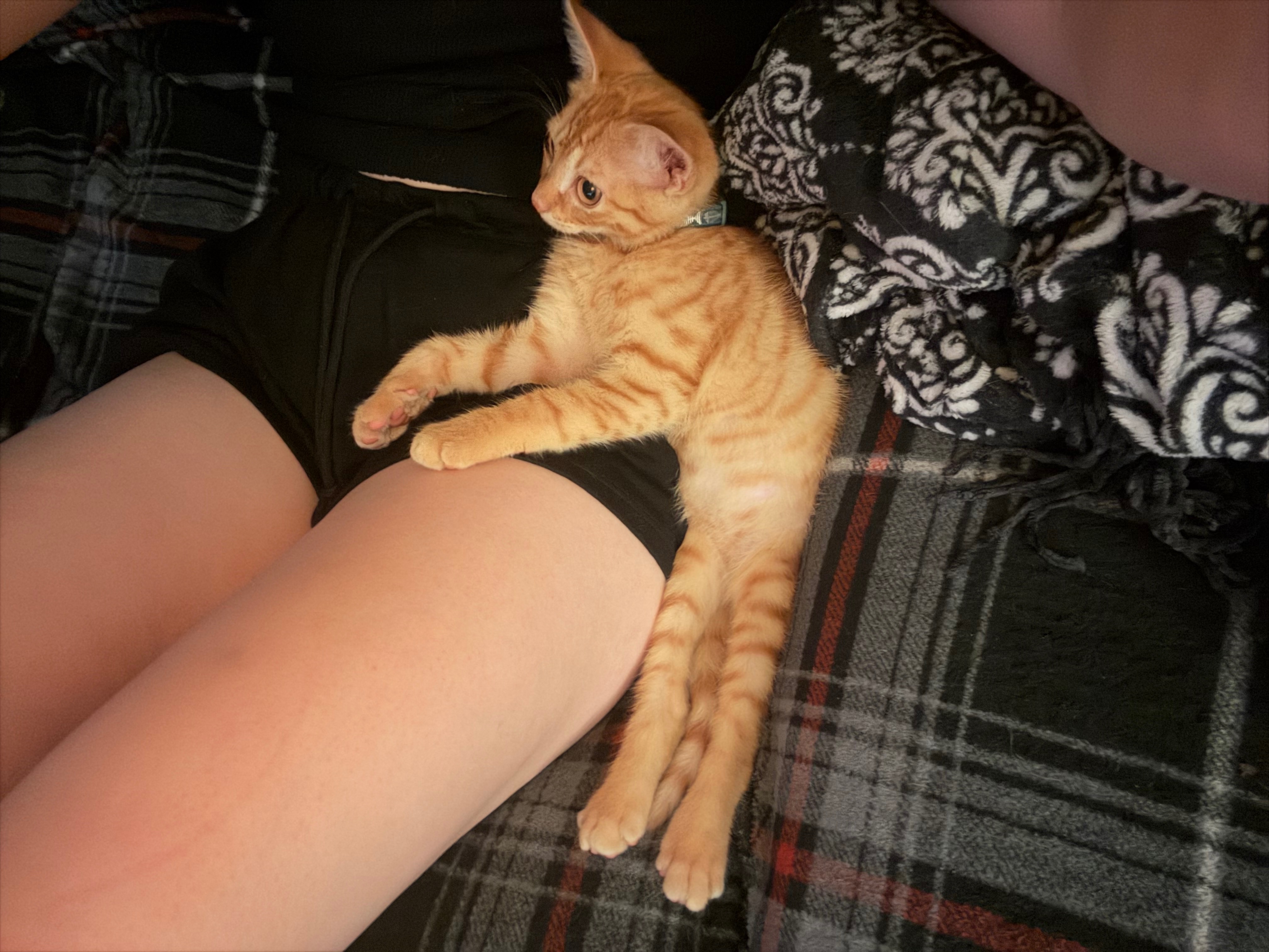 Save Milo: Fund His Lifesaving Medication campaign photo, 2 of 8