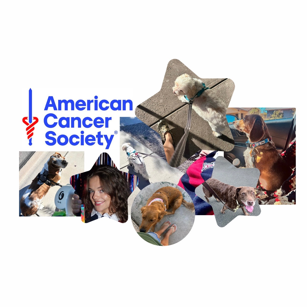 30 Mile Dog Walk for American Cancer Society campaign photo, 5 of 7