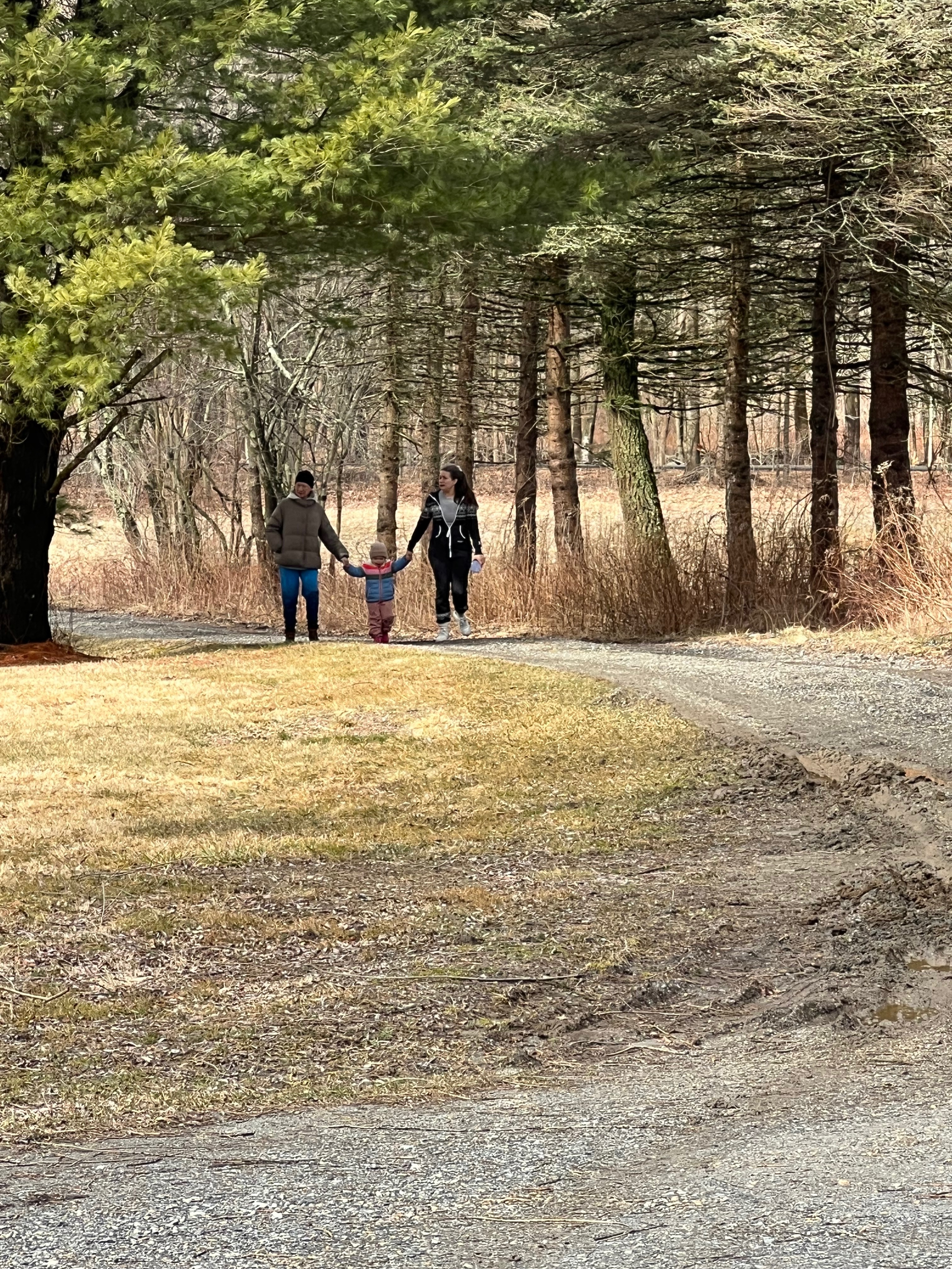 User-uploaded image 1