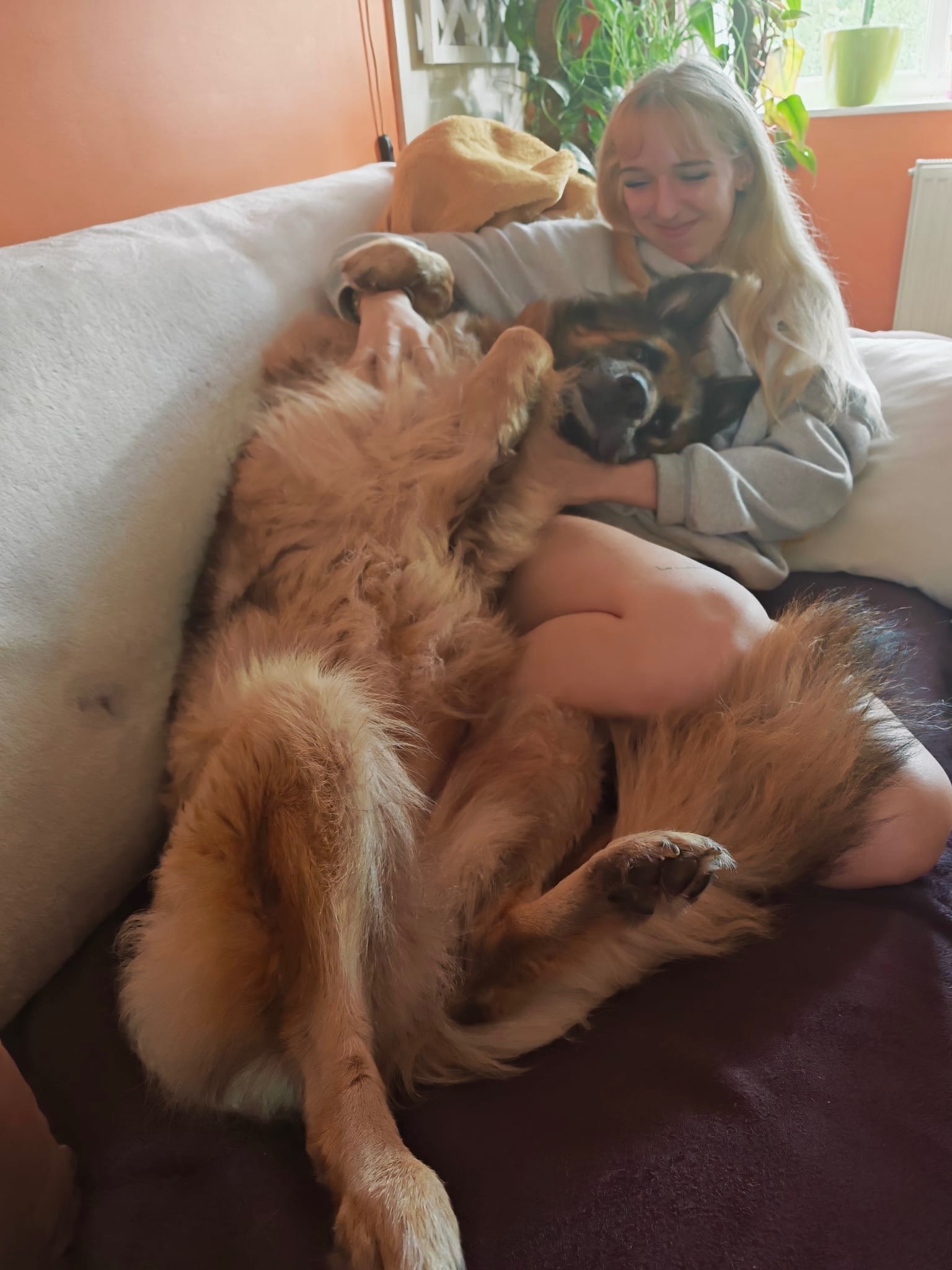 Fund Szadi’s emergency surgery (pyometra) campaign photo, 5 of 8