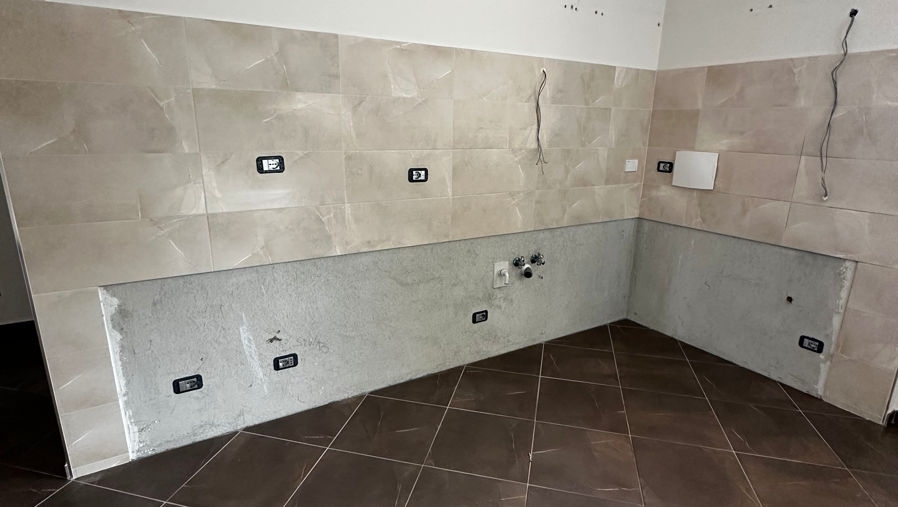 A Kitchen to Start Over with My Little Dog photo