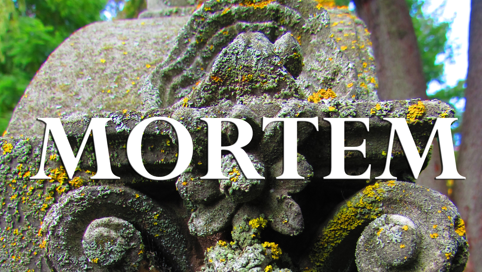 Fundraiser by Camille Ratté : Résidence Mortem: For Artists to Study Death
