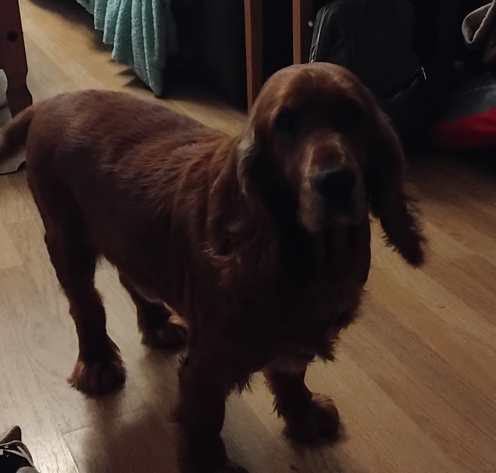 User-uploaded image 1